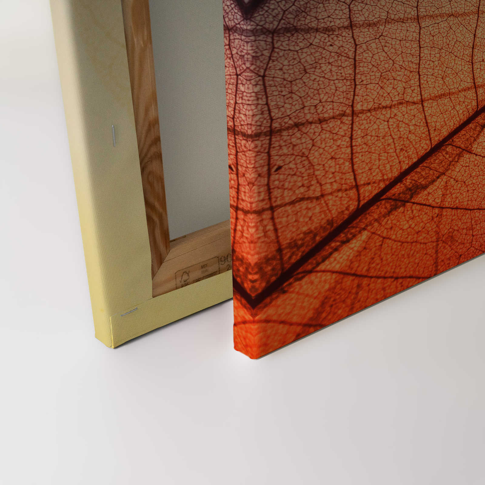             Leinwand mit Blättermuster Röntgen – 0,90 m x 0,60 m
        