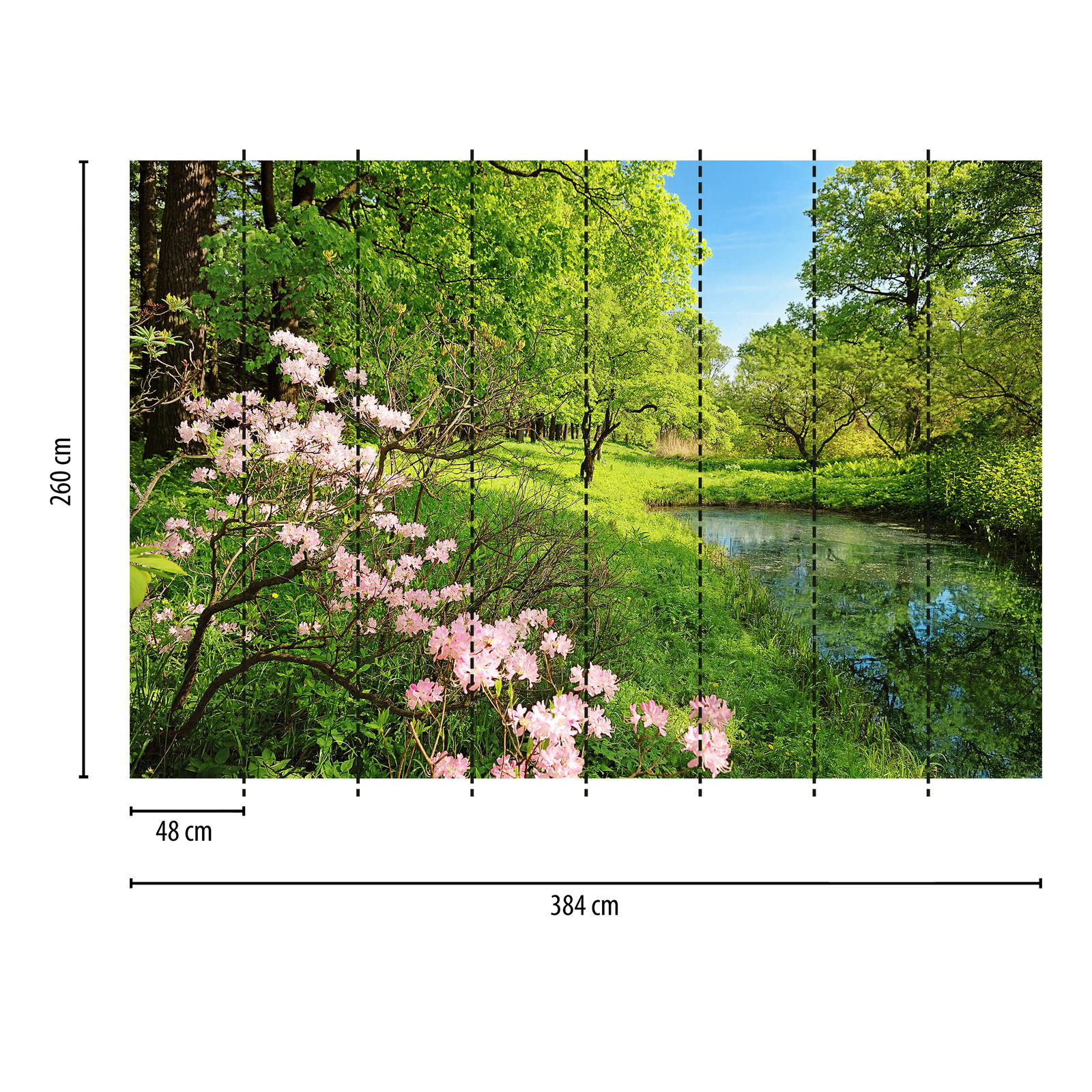             Landschaft Fototapete Natur-Park im Frühling
        