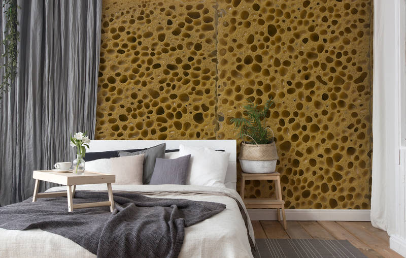             Organische Struktur Vliestapete – Fototapete in realistischer Schwamm Optik – Braun, Schwarz
        