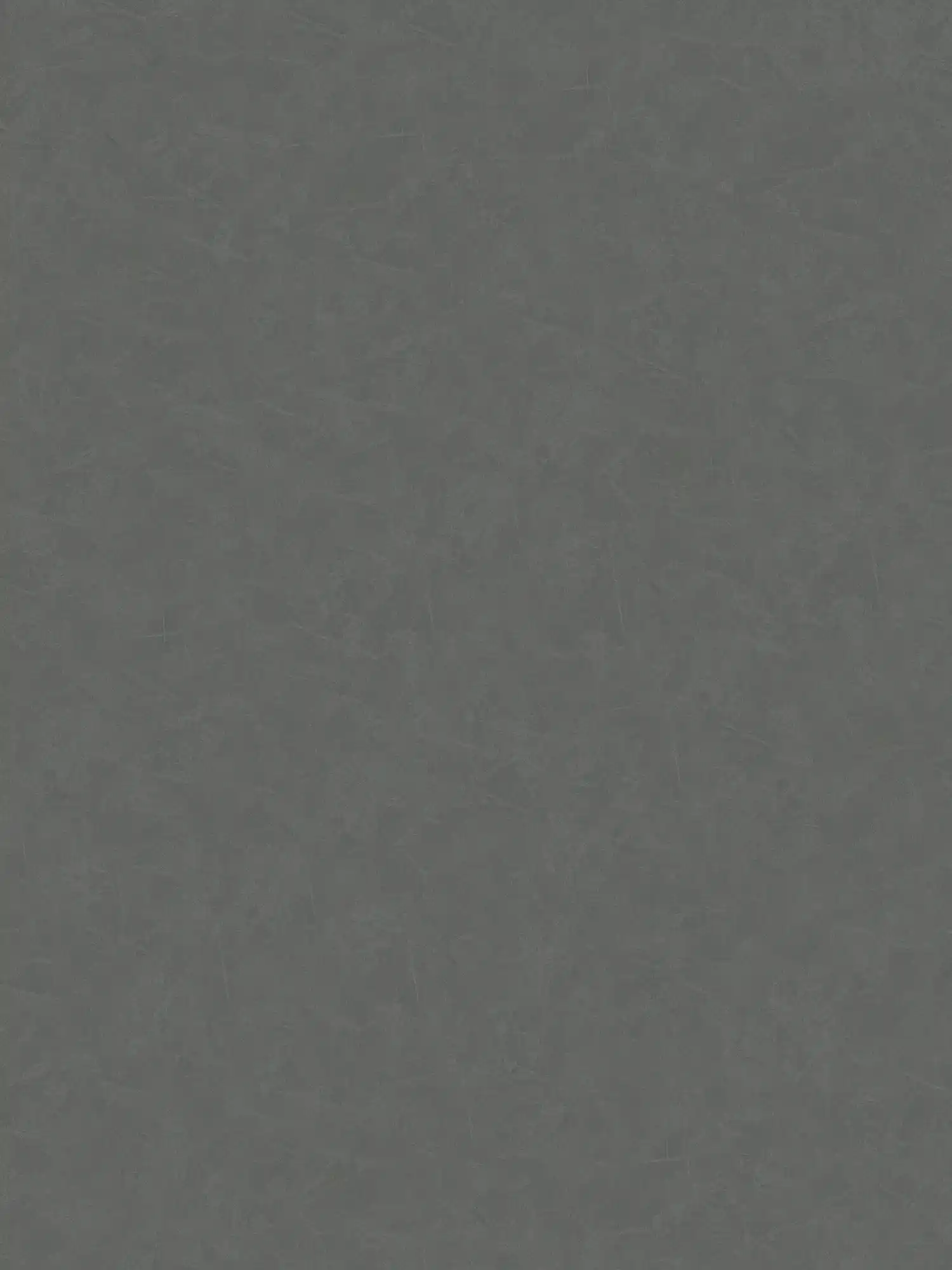        Papier peint uni aspect plâtre, structure colorée - gris, anthracite
    