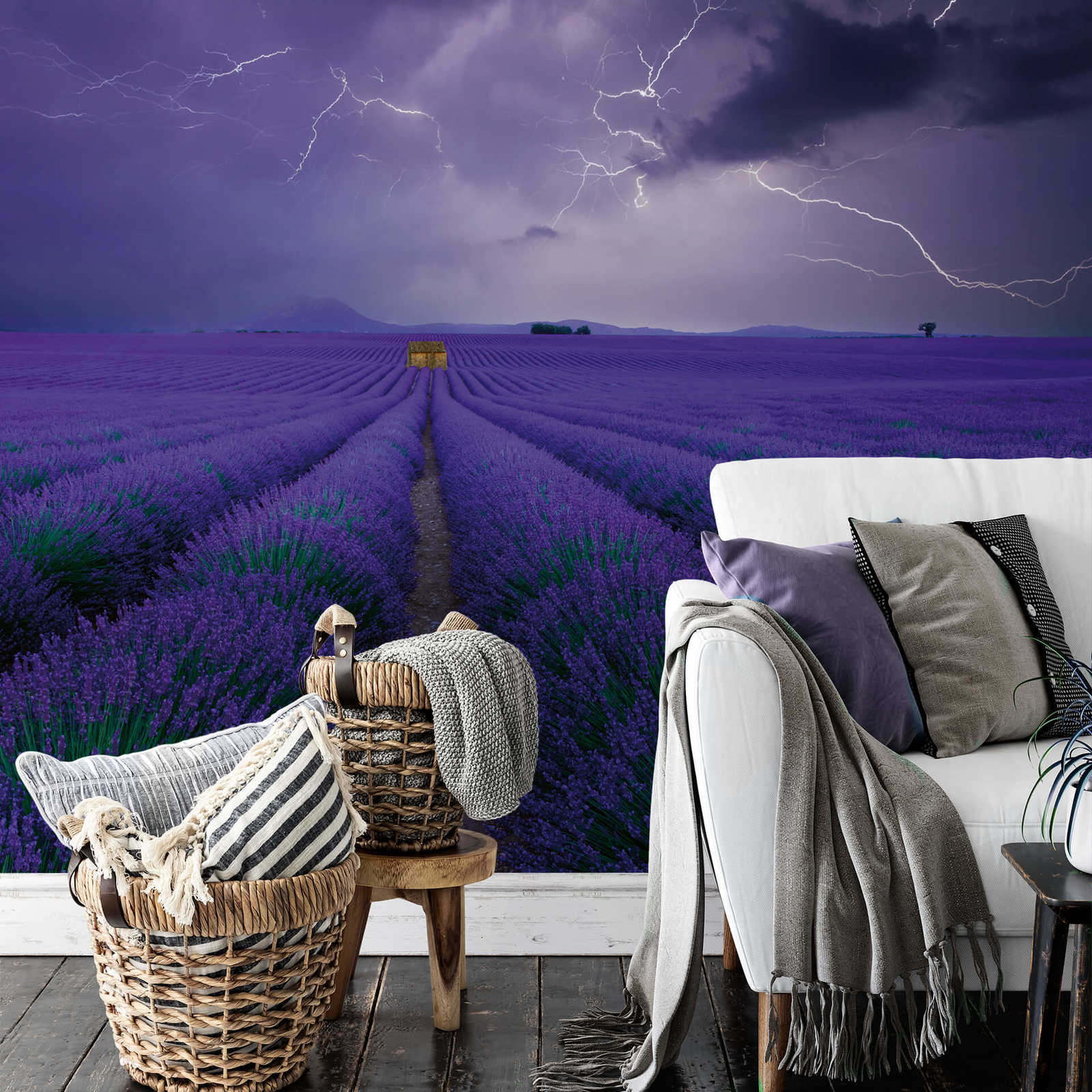             Fototapete Lavendel Feld – Violett, Grün, Braun
        