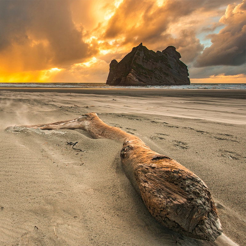 Holz, Natur, Draußen, Meer, Strand