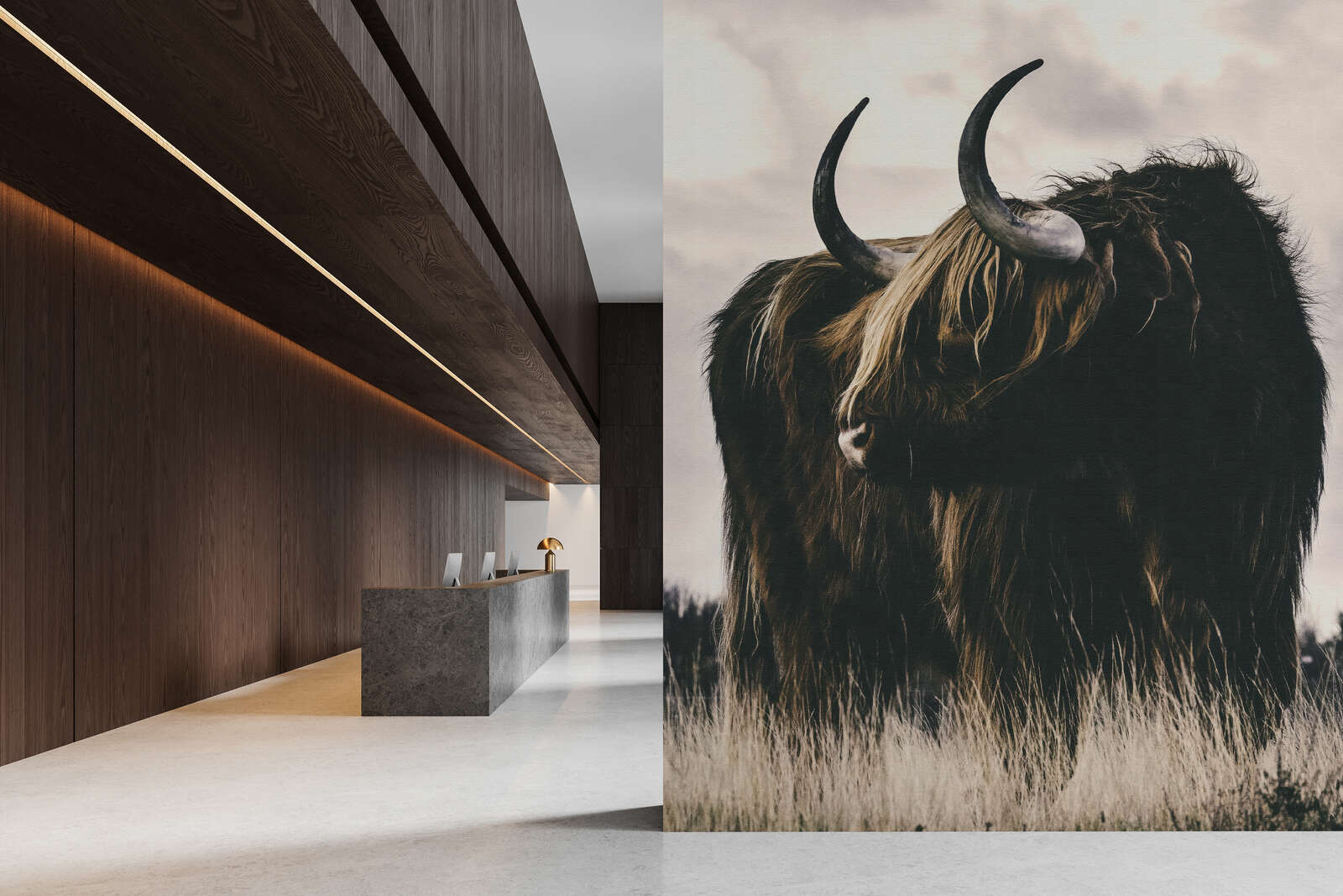 Stier, Säugetier, Rinder, Vieh, Yak