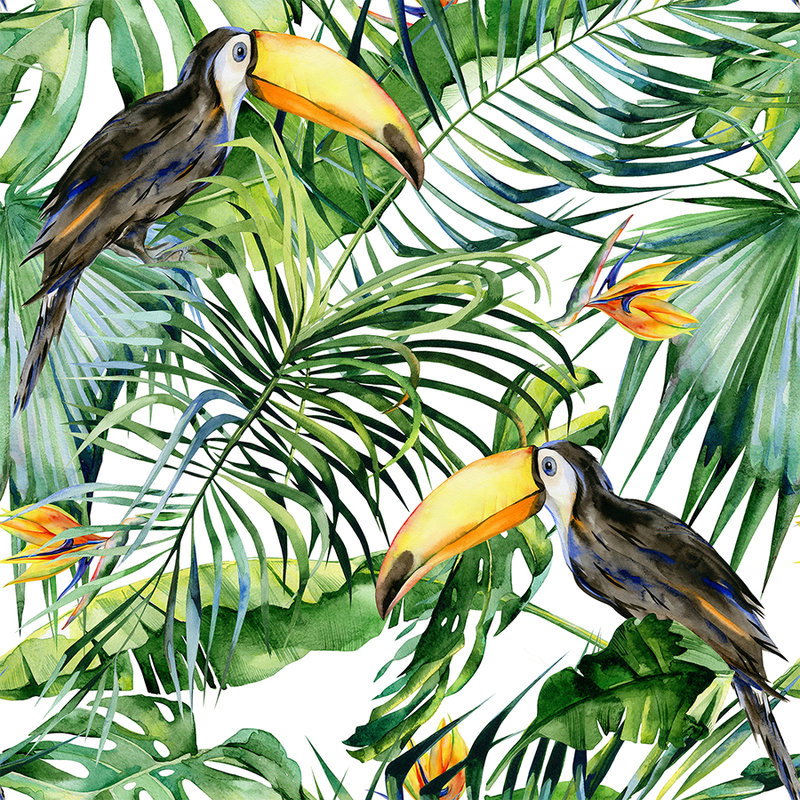 tropisch, papageien, tropische vögel, dschungel, laubwerk