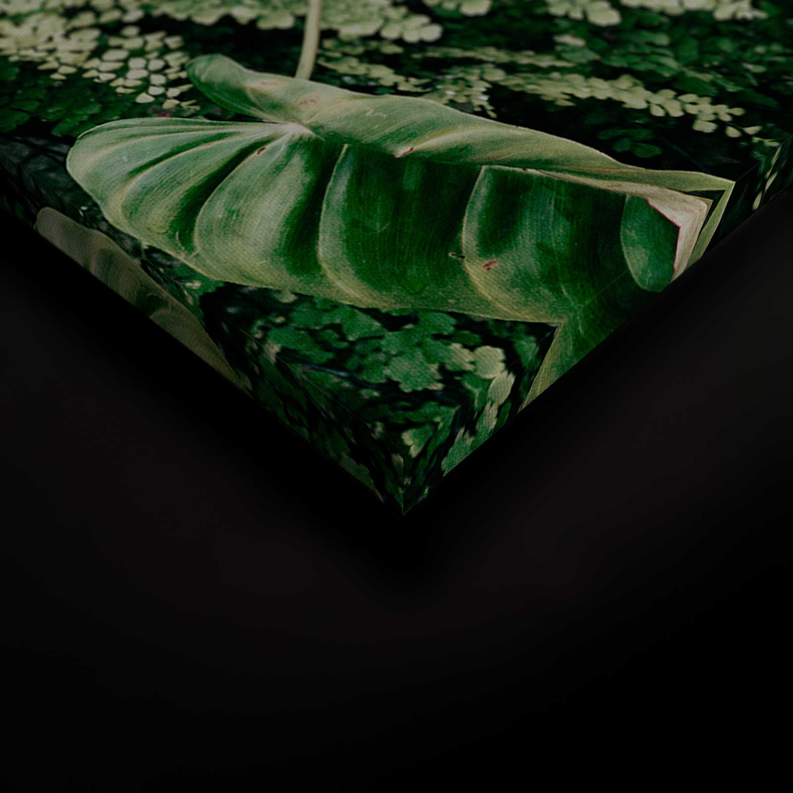             Deep Green 2 - Leinwandbild Blätterdickicht, Farne & Hängepflanzen – 0,90 m x 0,60 m
        