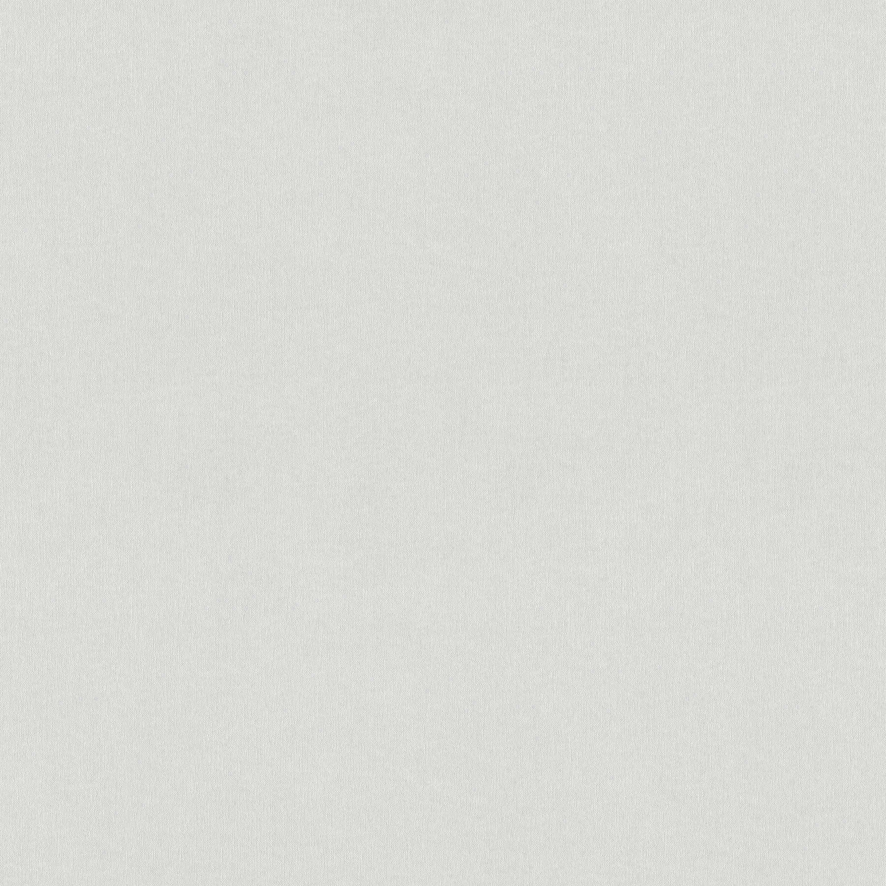         Meistervlies Tapete mit flachem Strukturmuster – Weiß
    