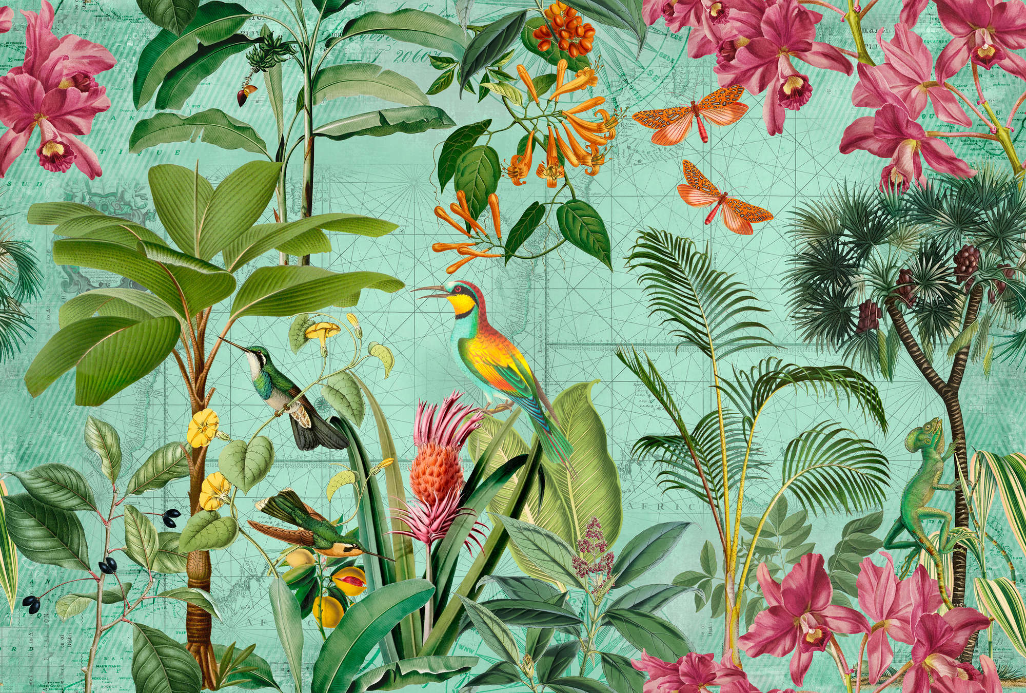 Dschungel, Vogel-Pflanzenbild, Tropische Pflanzen, Vögel, Blumen