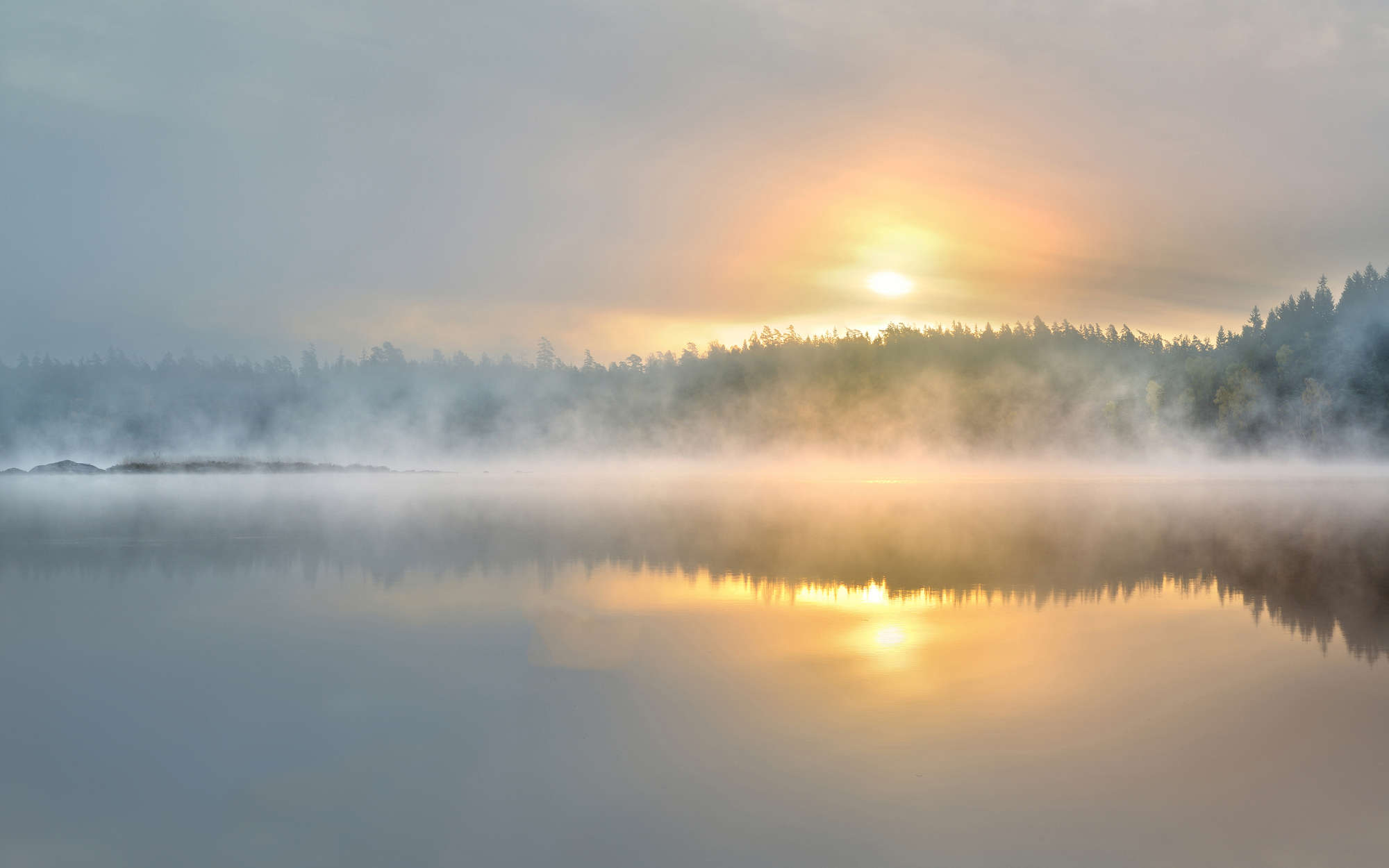 Sonnenaufgang, Waldsee, Nebel, See, Reflexion