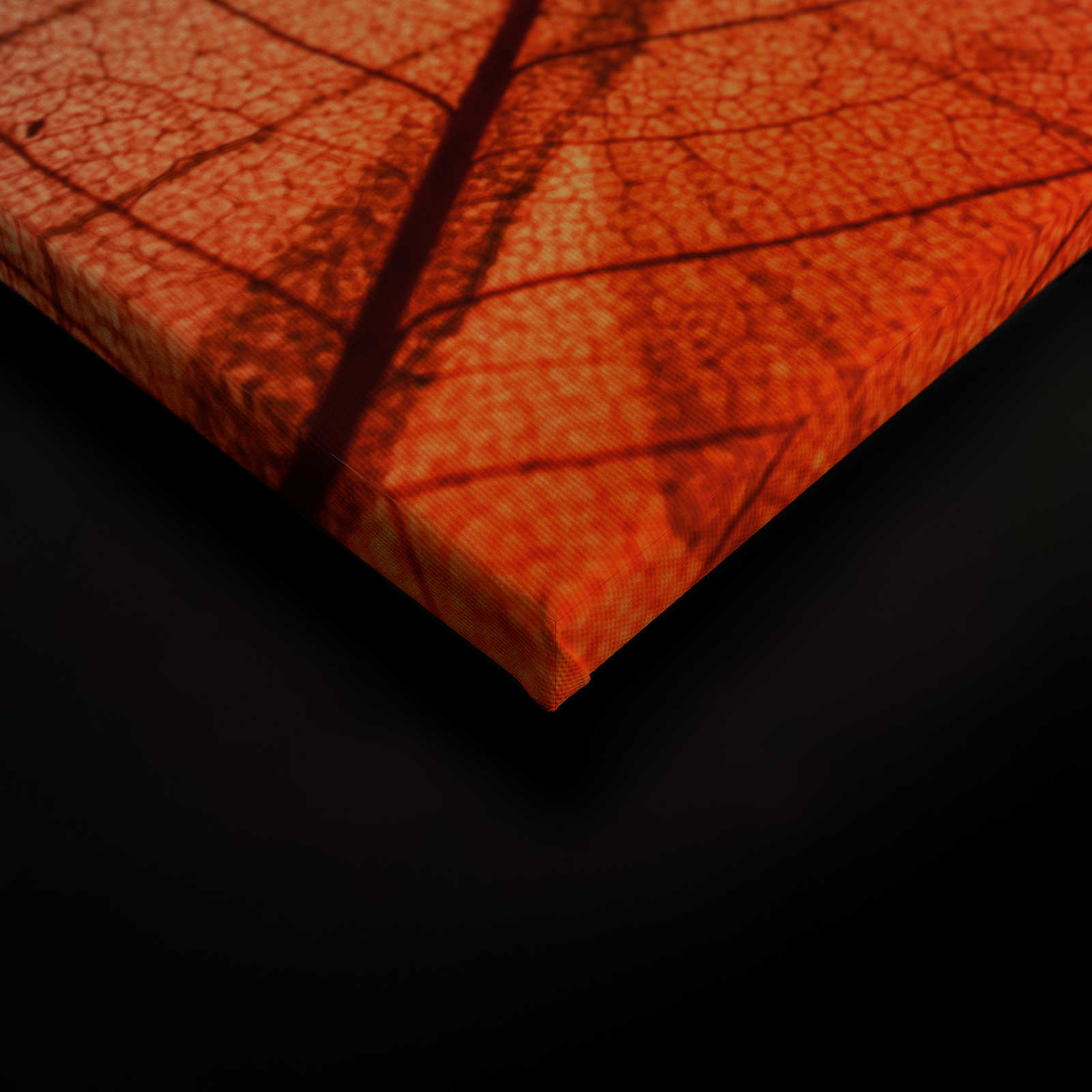             Leinwand mit Blättermuster Röntgen – 0,90 m x 0,60 m
        