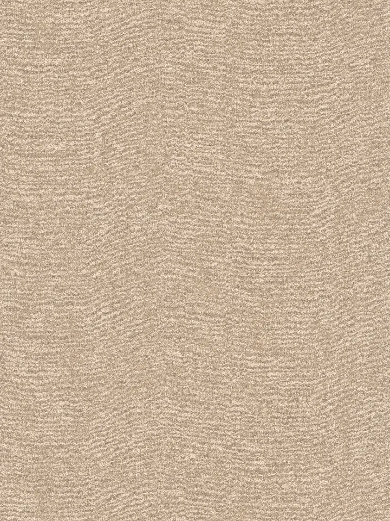        Uni Vliestapete mit feiner Struktur – Beige
    