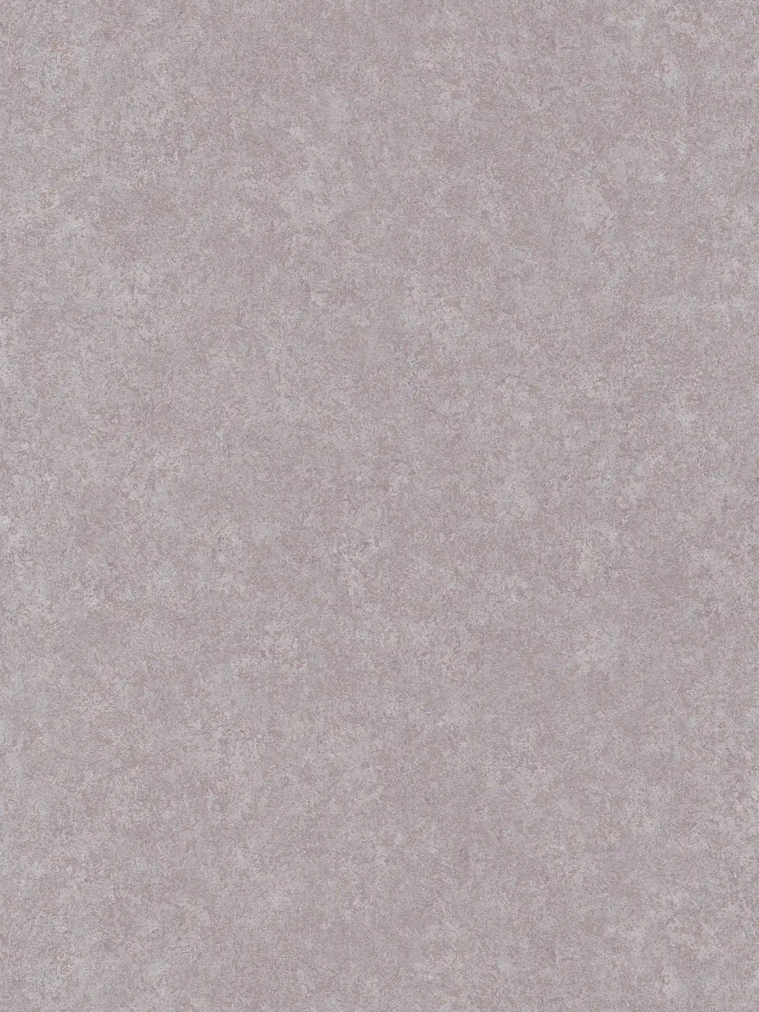         Neutral plaster look wallpaper with matte surface - grey
    