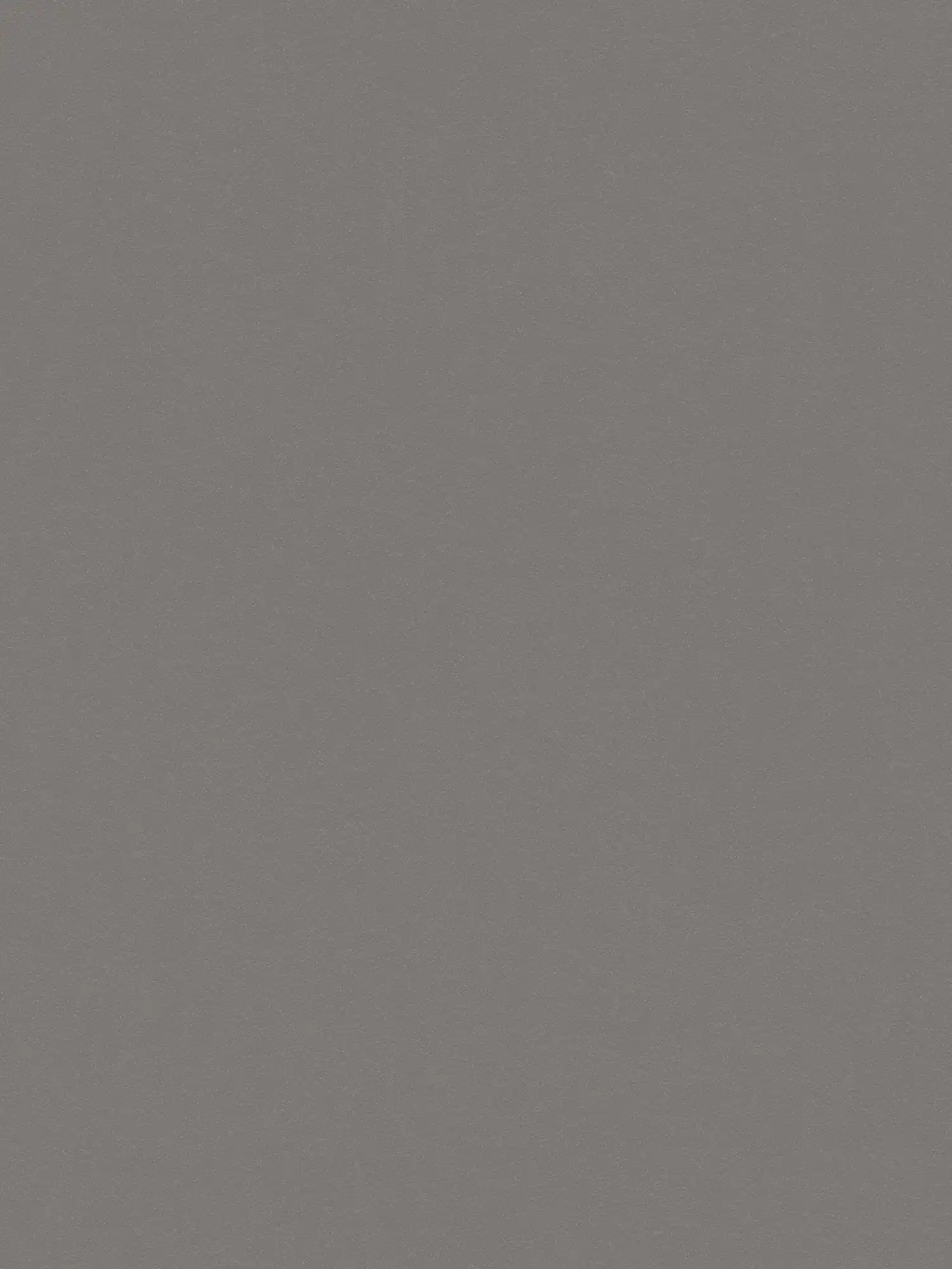         wallpaper neutral plain, silk matte sheen - anthracite
    