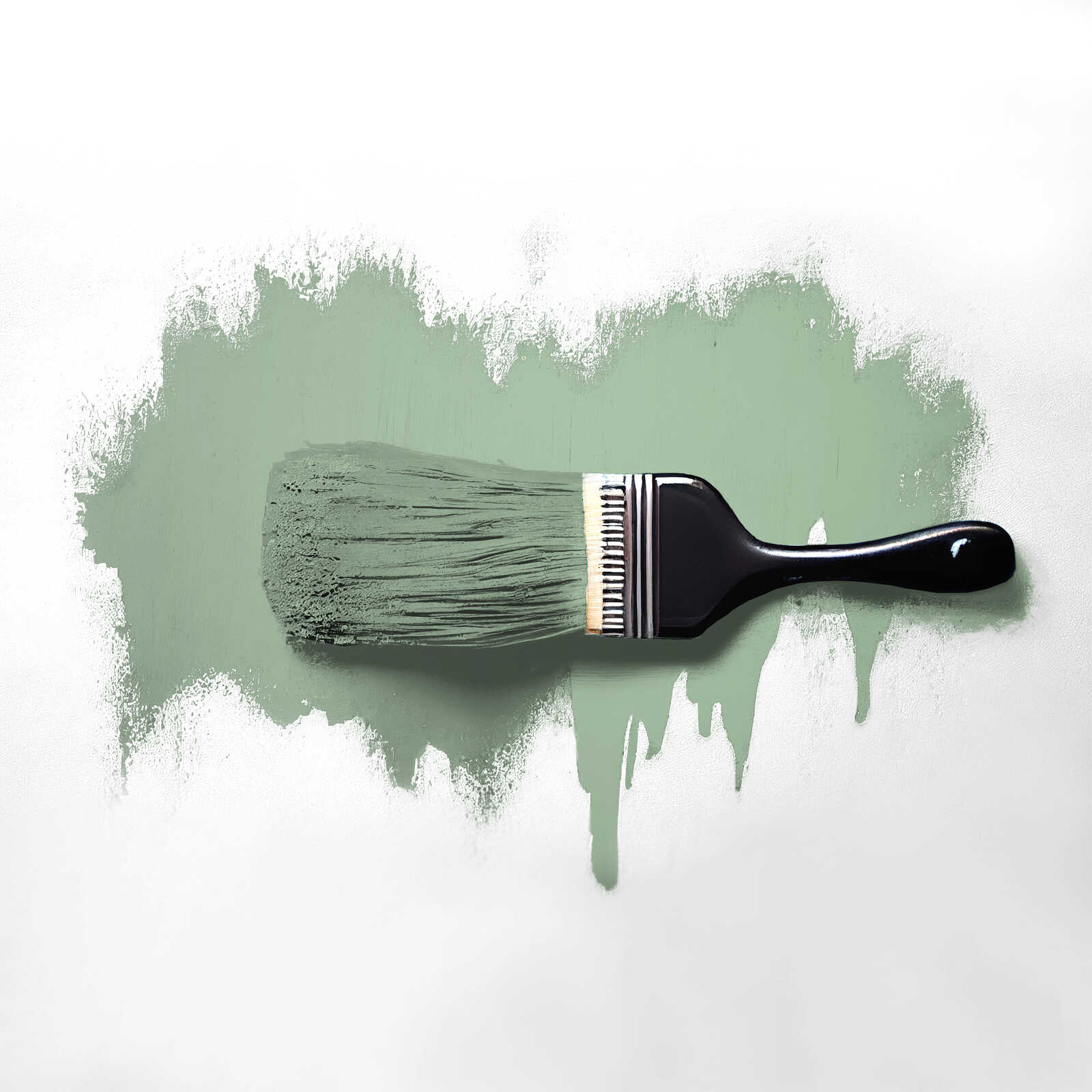 Pinsel, Farbpinsel, Schwarz, Grün, Malerei