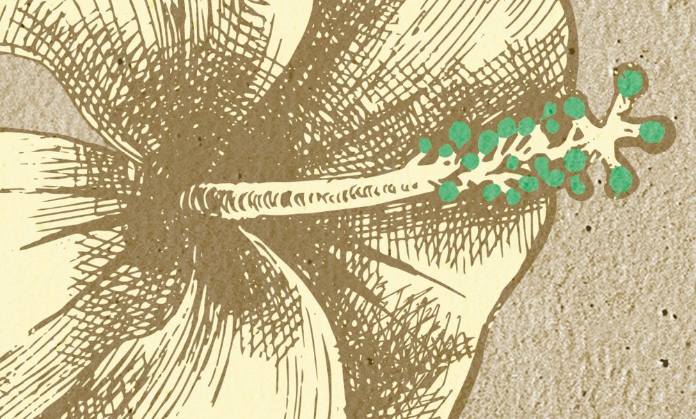 Kunst, Florales Design, Grafiken, Muster, Zubehör