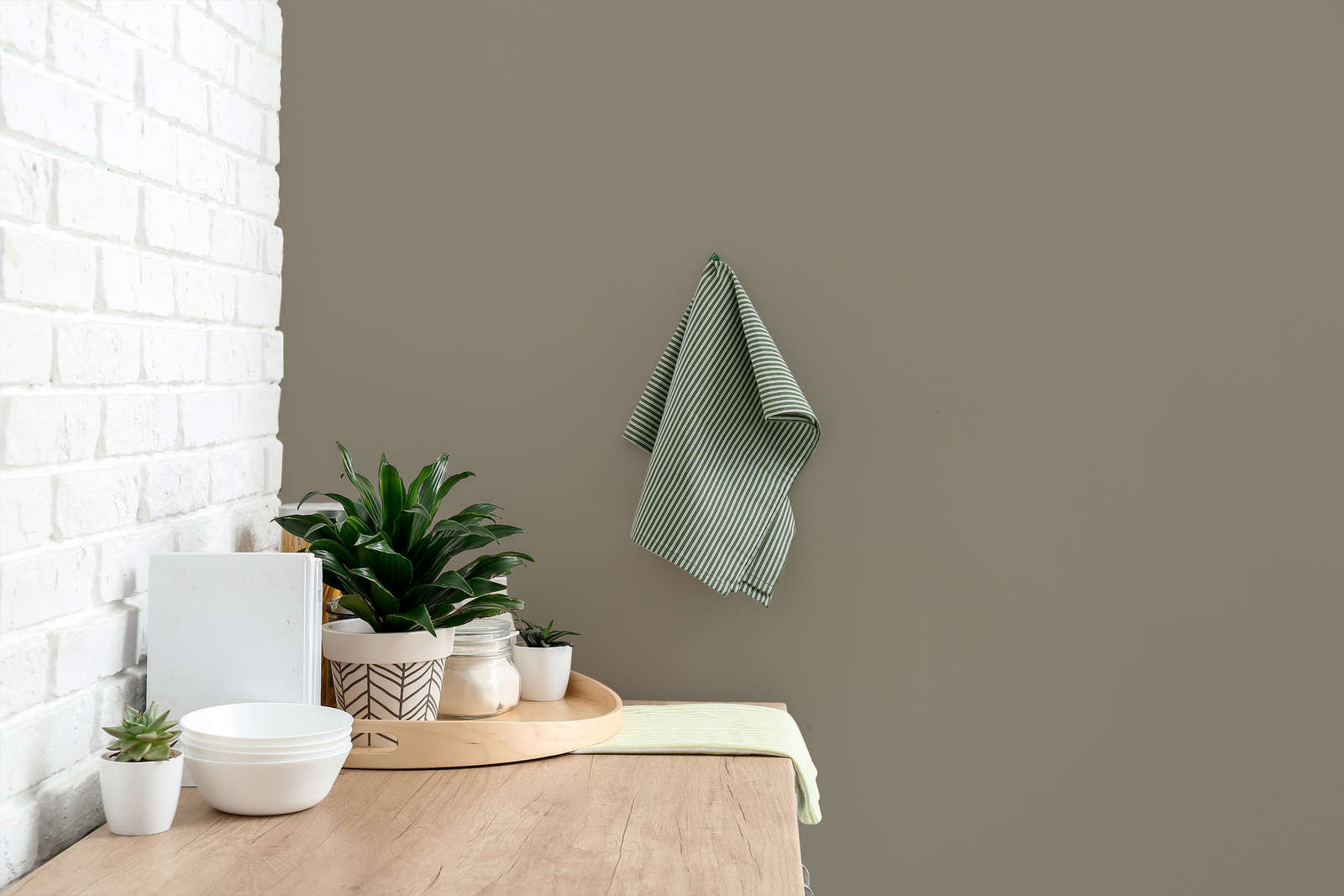 kitchen, towel, plant, tray, pot
