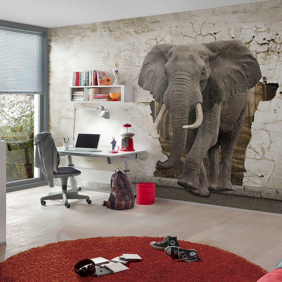 elephant mural, office desk, workspace, red rug, elephant wall art