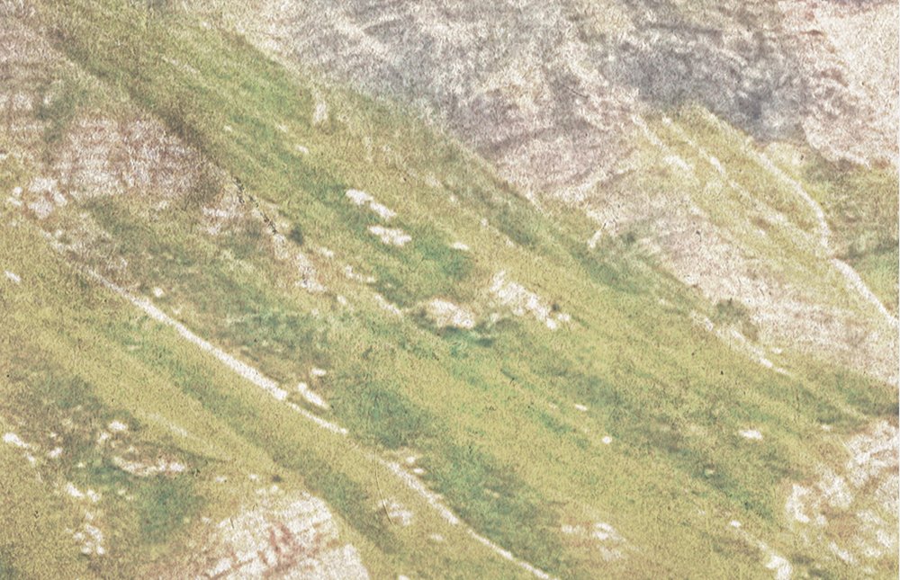 Gras, Steigung, Bewuchs, Fels, Land