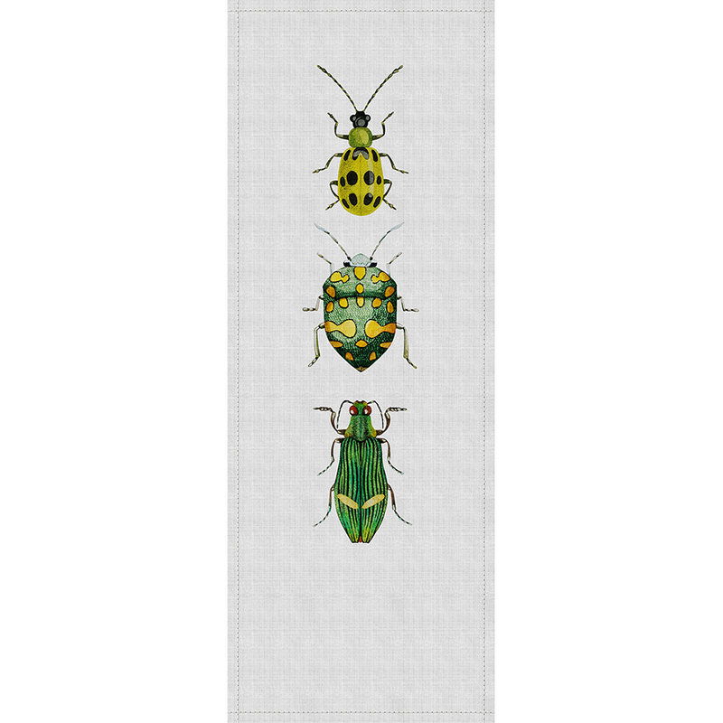 Tier, Insekt, Wirbellose, Blattlaus