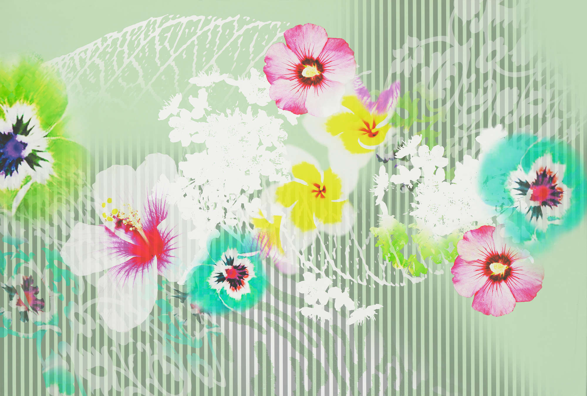 Blume, Pflanze, Kunst, Grafiken, Florales Design