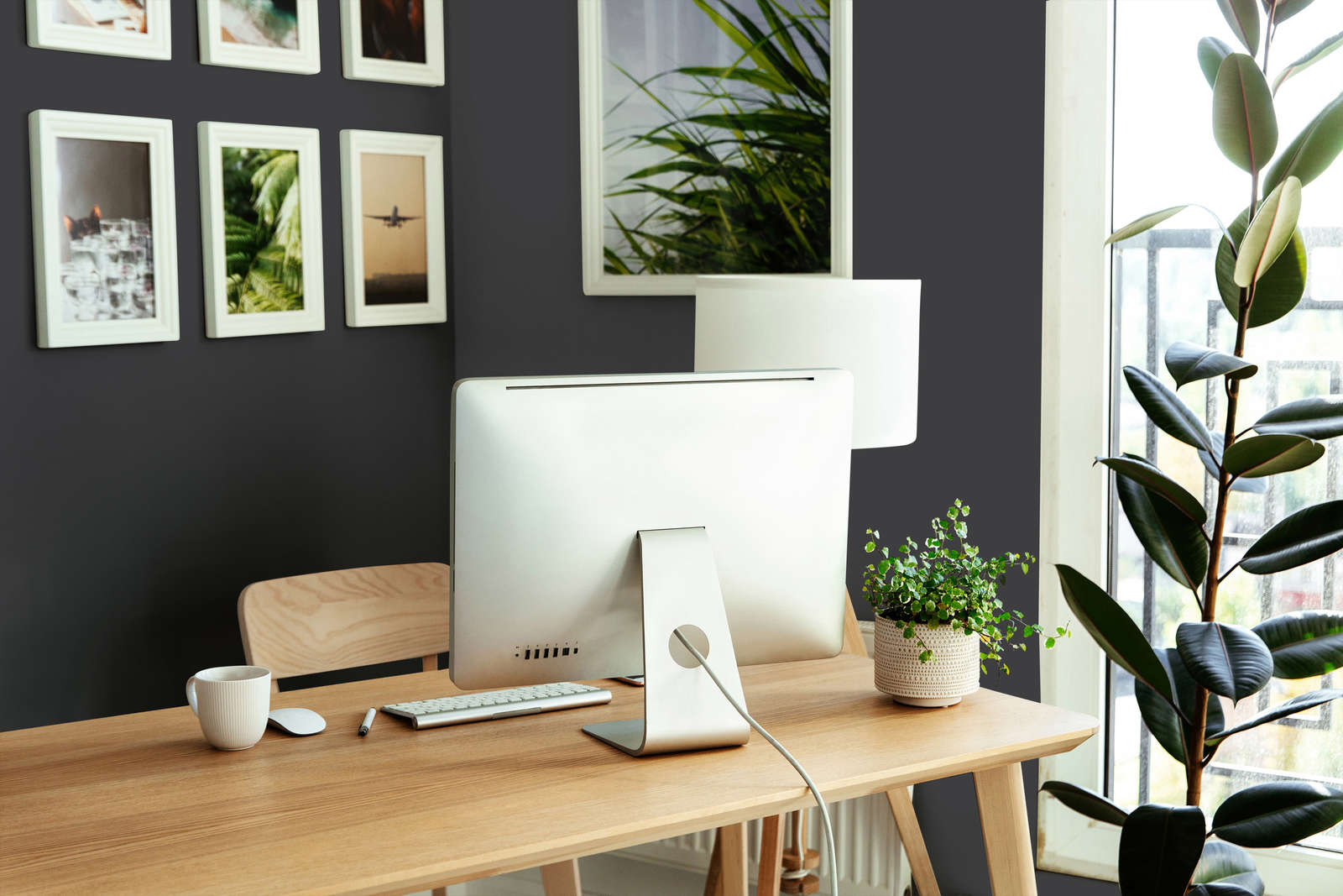 computer, monitor, desk, office, plant