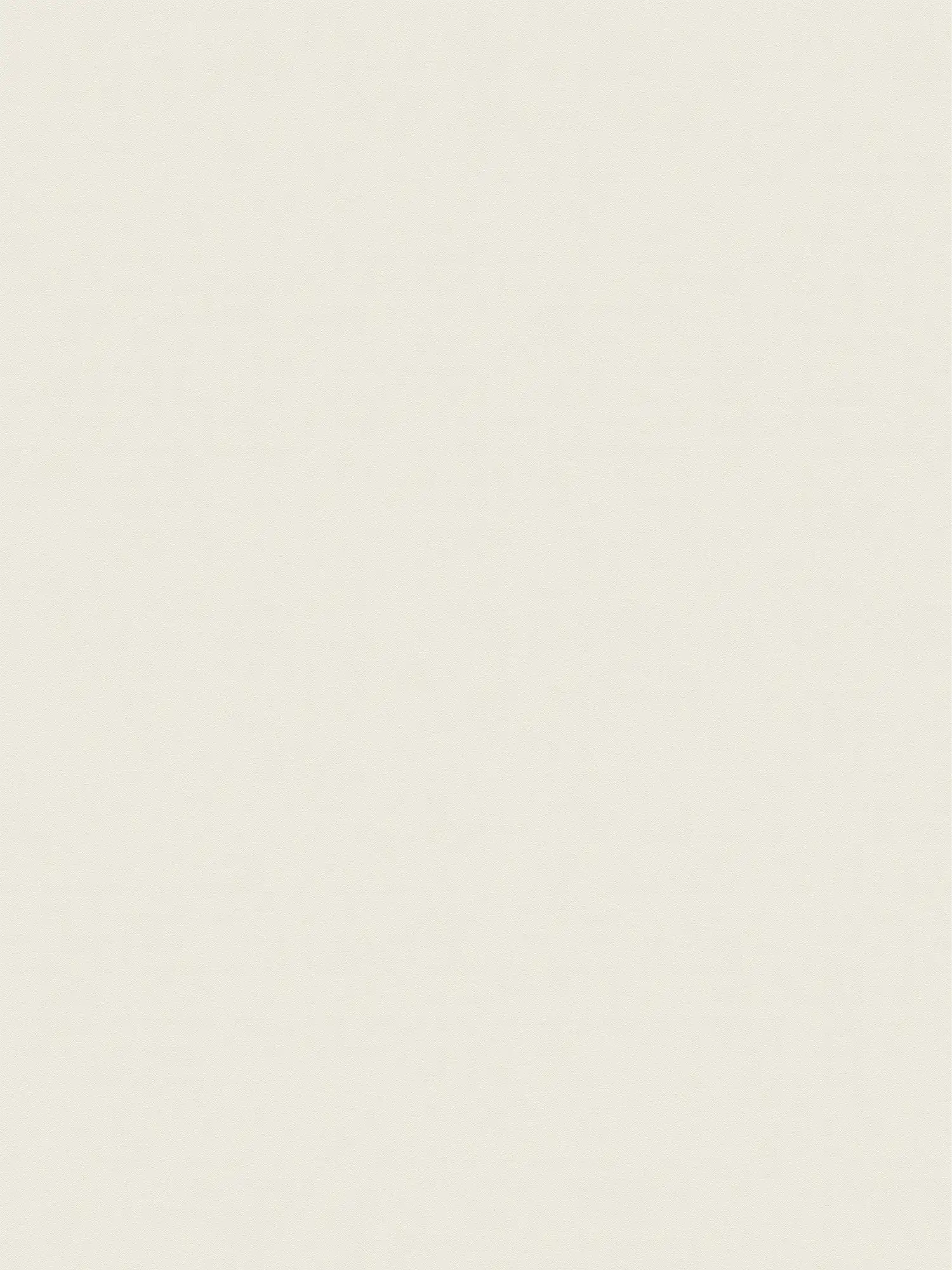         XXL non-woven wallpaper - "Das Uni" from wallpaper shop - 1.06m double width - single-coloured and subtly textured - champagne
    