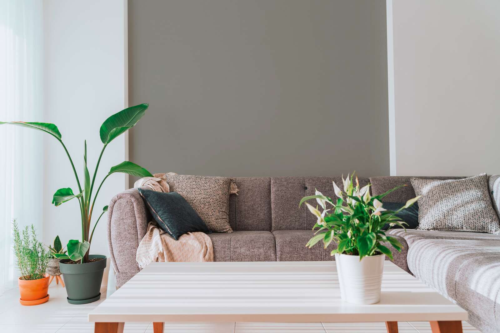 Innenarchitektur, Tabelle, Pflanze, Couch, Inneneinrichtung