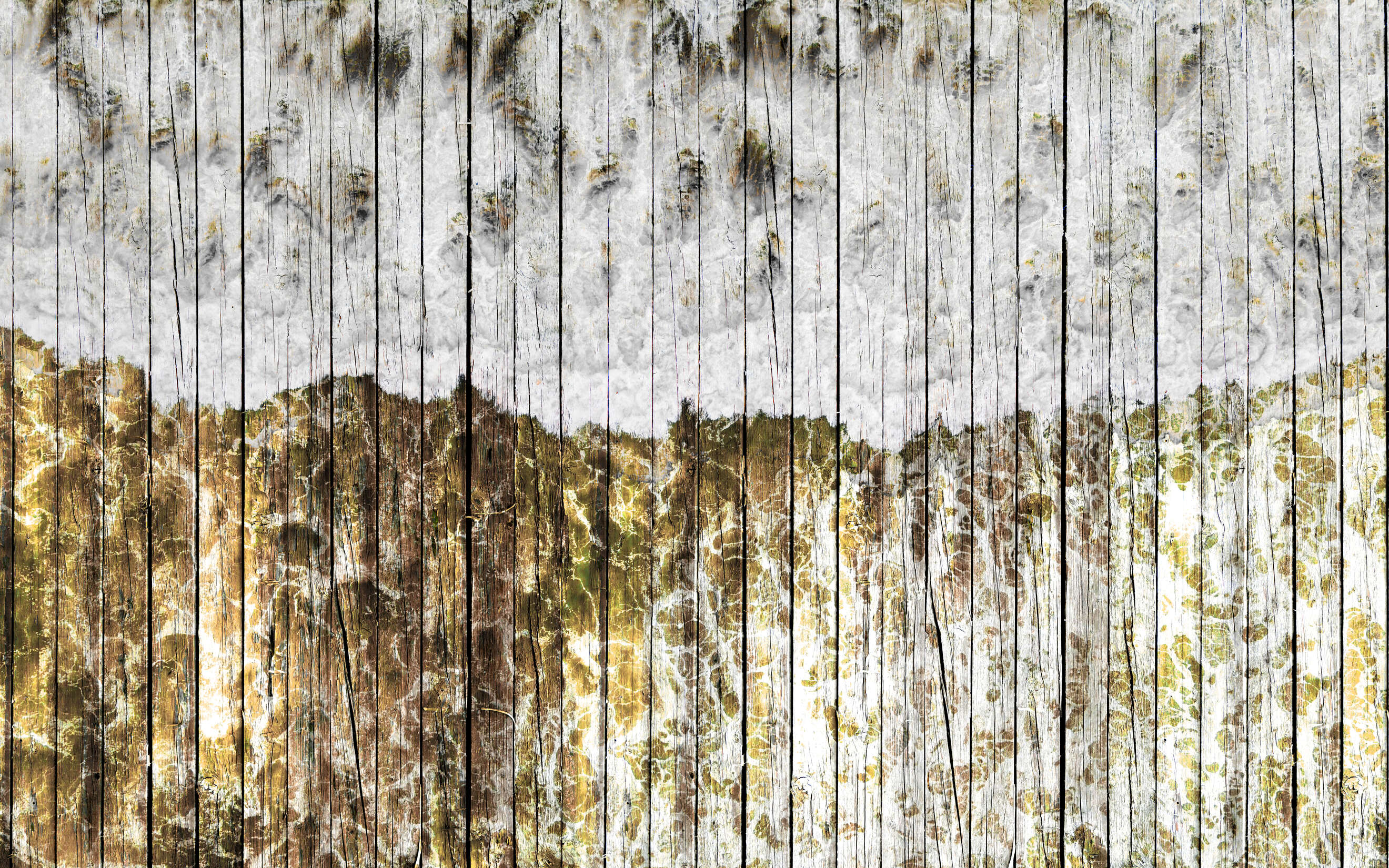 Holz, Innenarchitektur, Rock, Textur, Baum