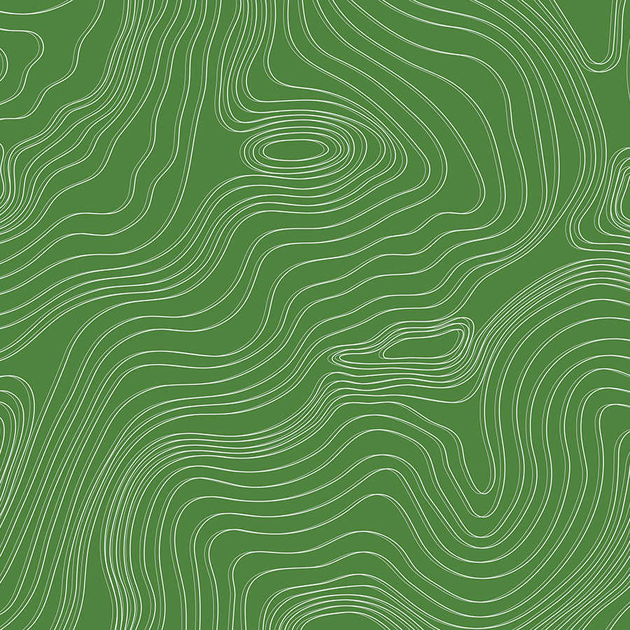 topografisch, Kontur, Linienmuster, grün, abstrakt