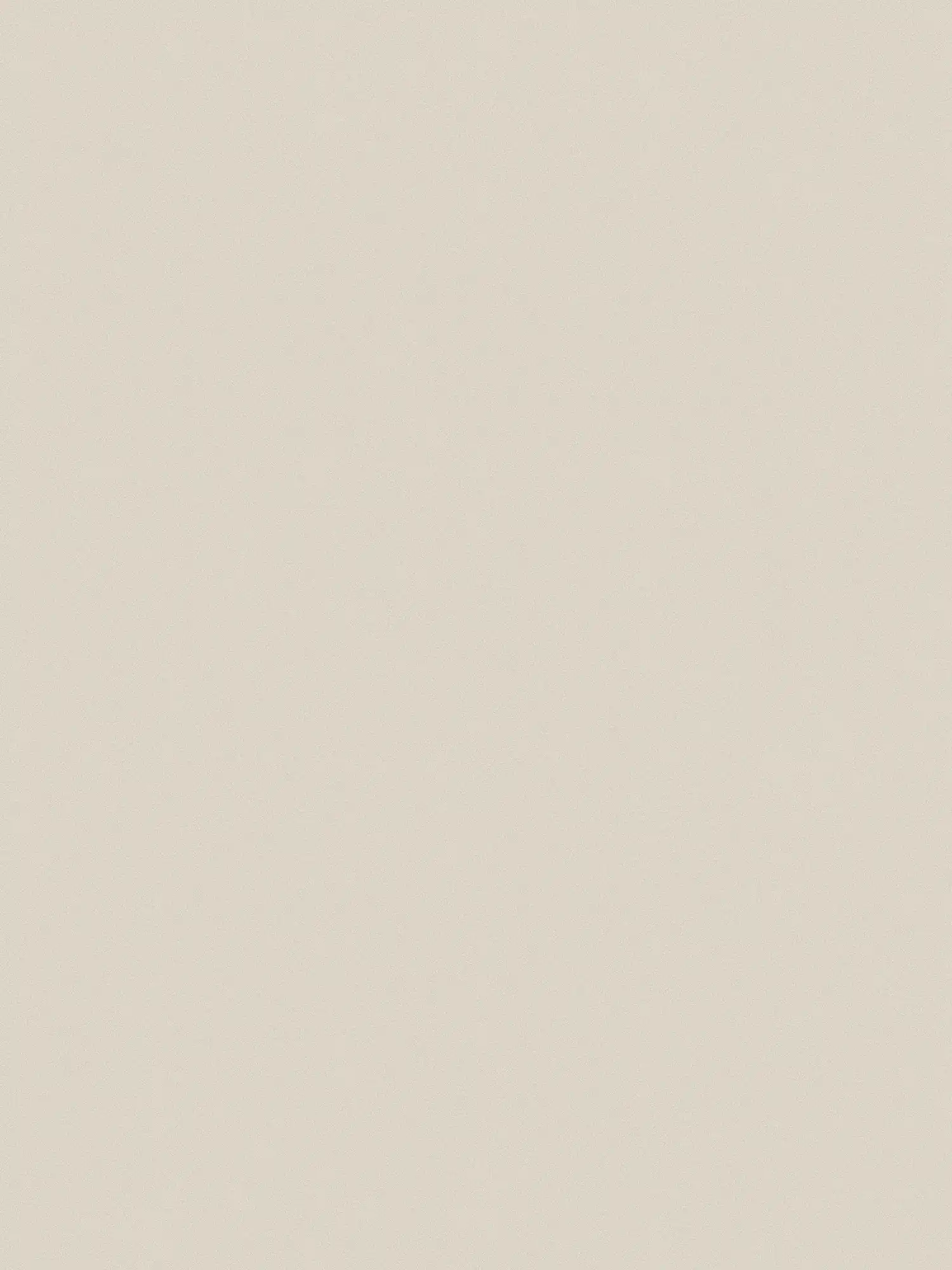             Vliestapete Hellgrau seidenmatt mit dezentem Struktureffekt
        