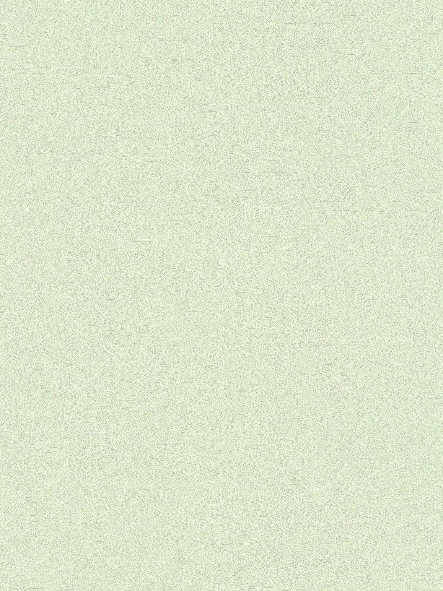         Papier peint pastel vert clair avec motif gaufré structuré
    