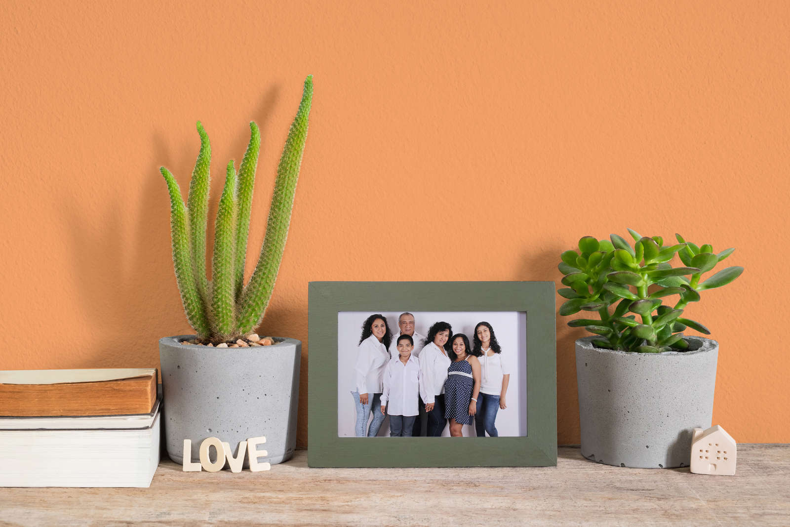 Pflanze, Pflanze im Topf, Person