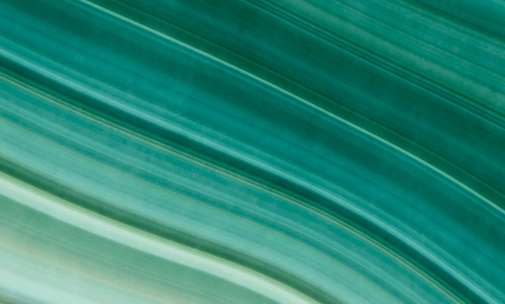 Grün, Textur, Blatt, Pflanze