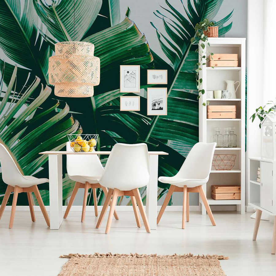         Fototapete mit Palmenblättern natürliches Motiv – Grün, Grau
    