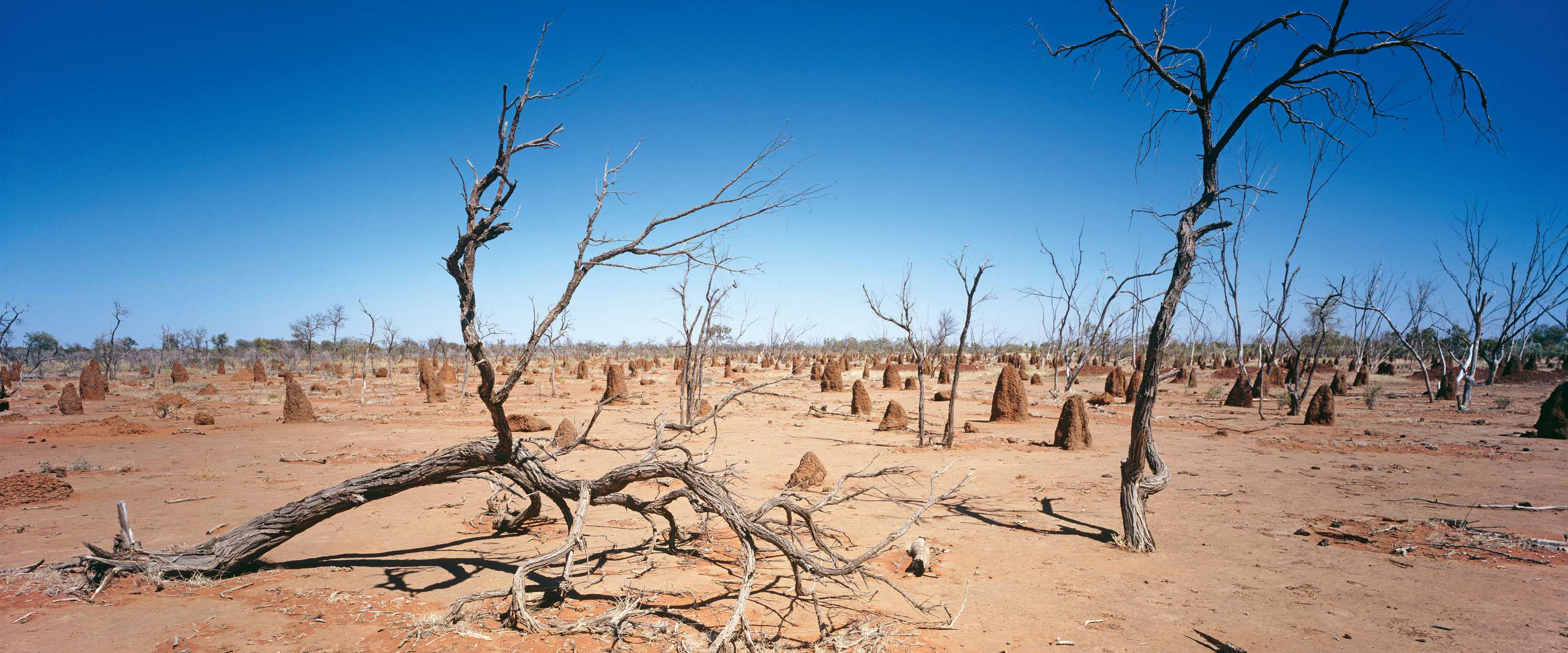             Fototapete Australisches Outback Motiv Wüste & Himmel
        