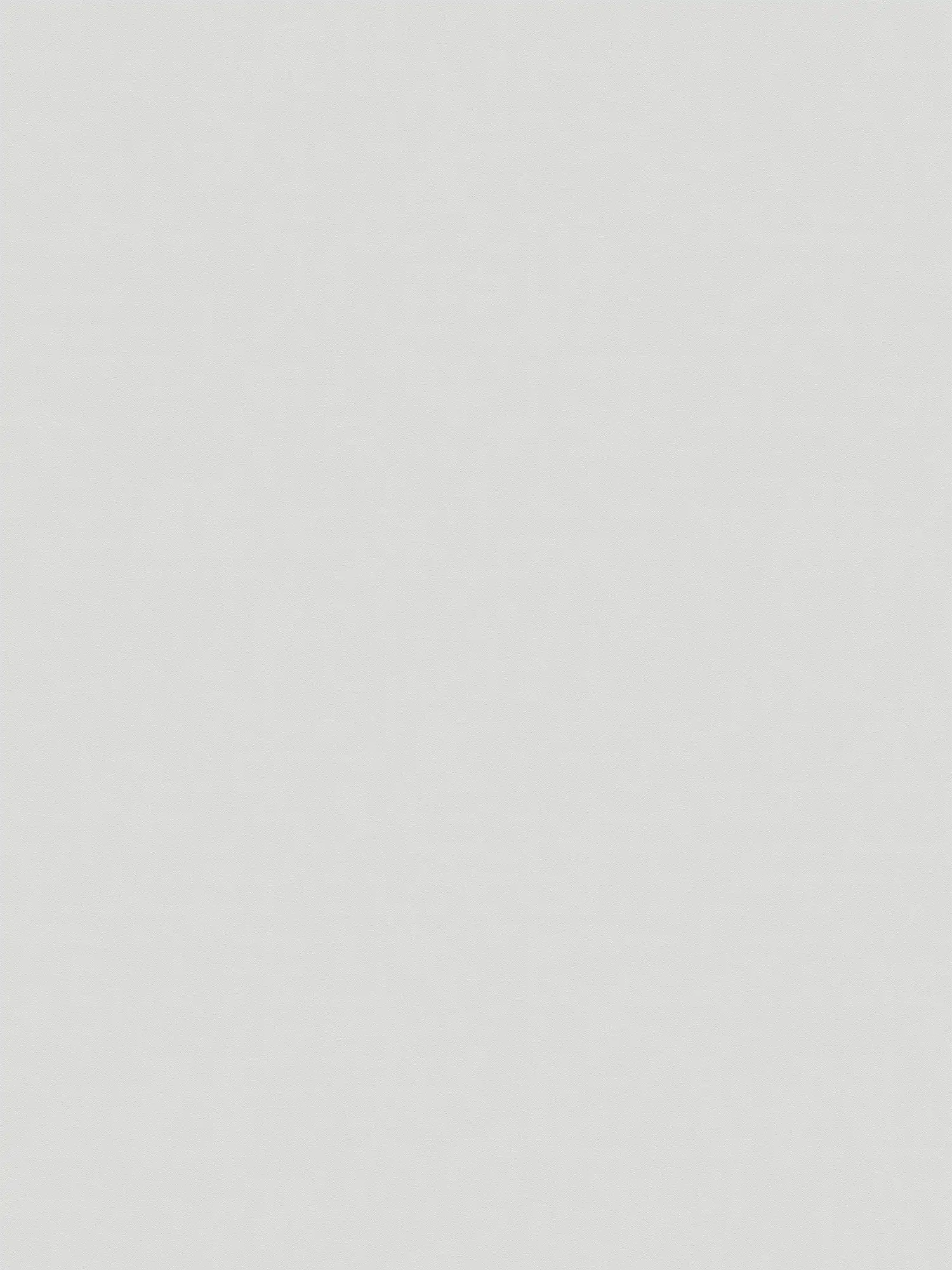         XXL non-woven wallpaper - 'Das Uni' from wallpaper shop - 1.06m double width - plain and subtly textured - cloud grey
    