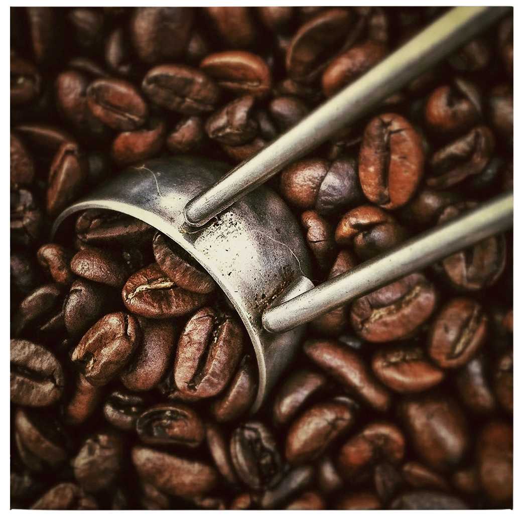             Quadratisches Bild Kaffeebohnen – 0,50 m x 0,50 m
        