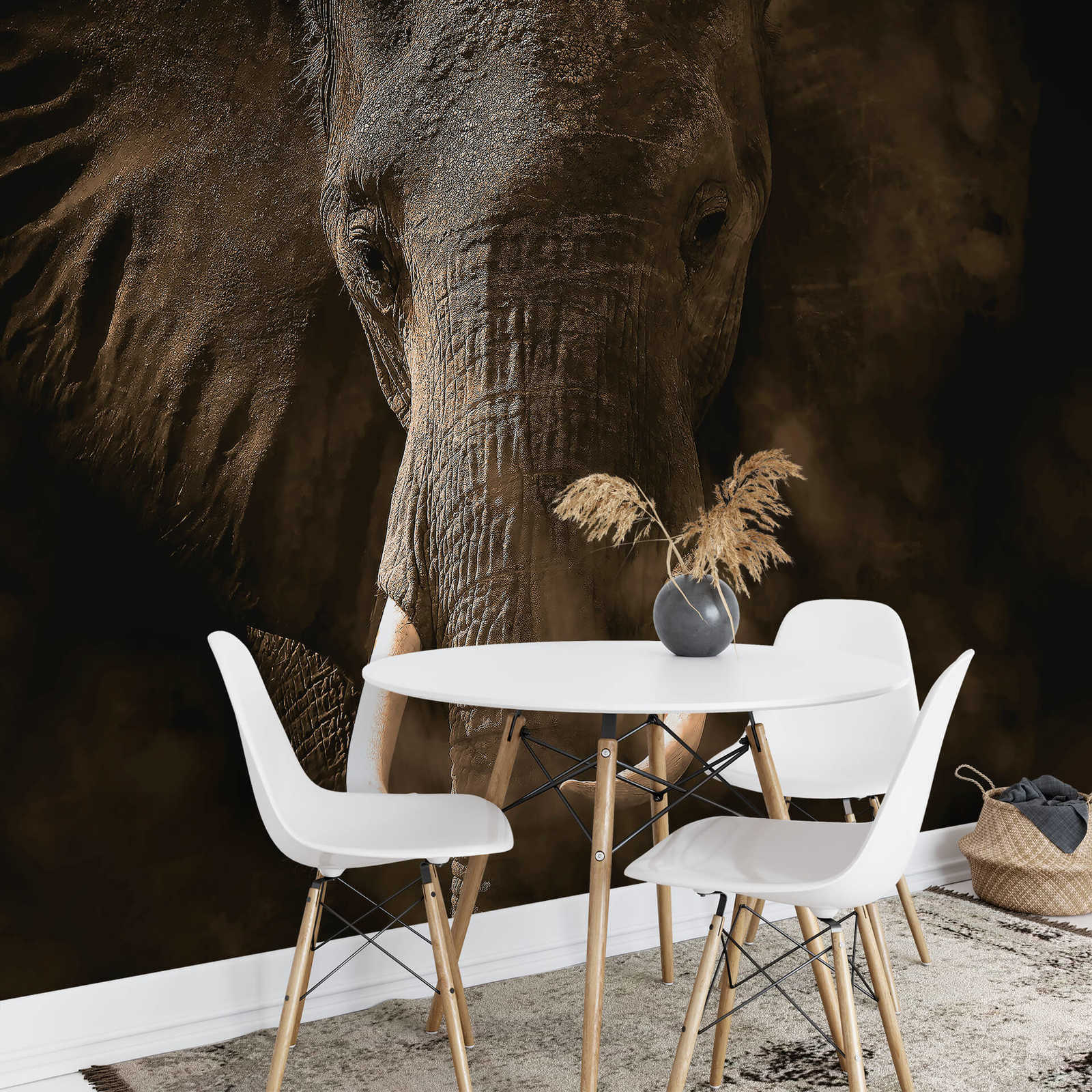 Fototapete Safari Tier Elefant – Grau, Braun, Weiß