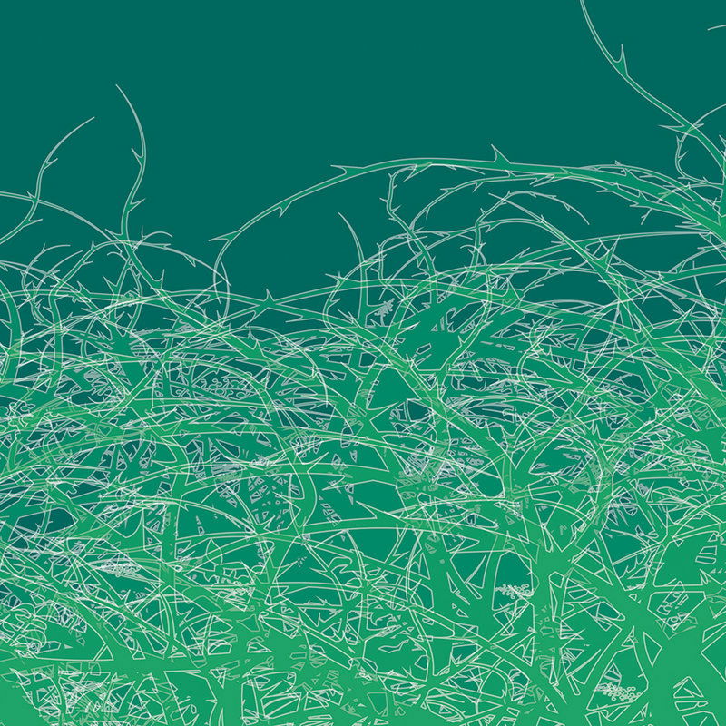 Grün, Gras, Muster, Aquatisch, Textur