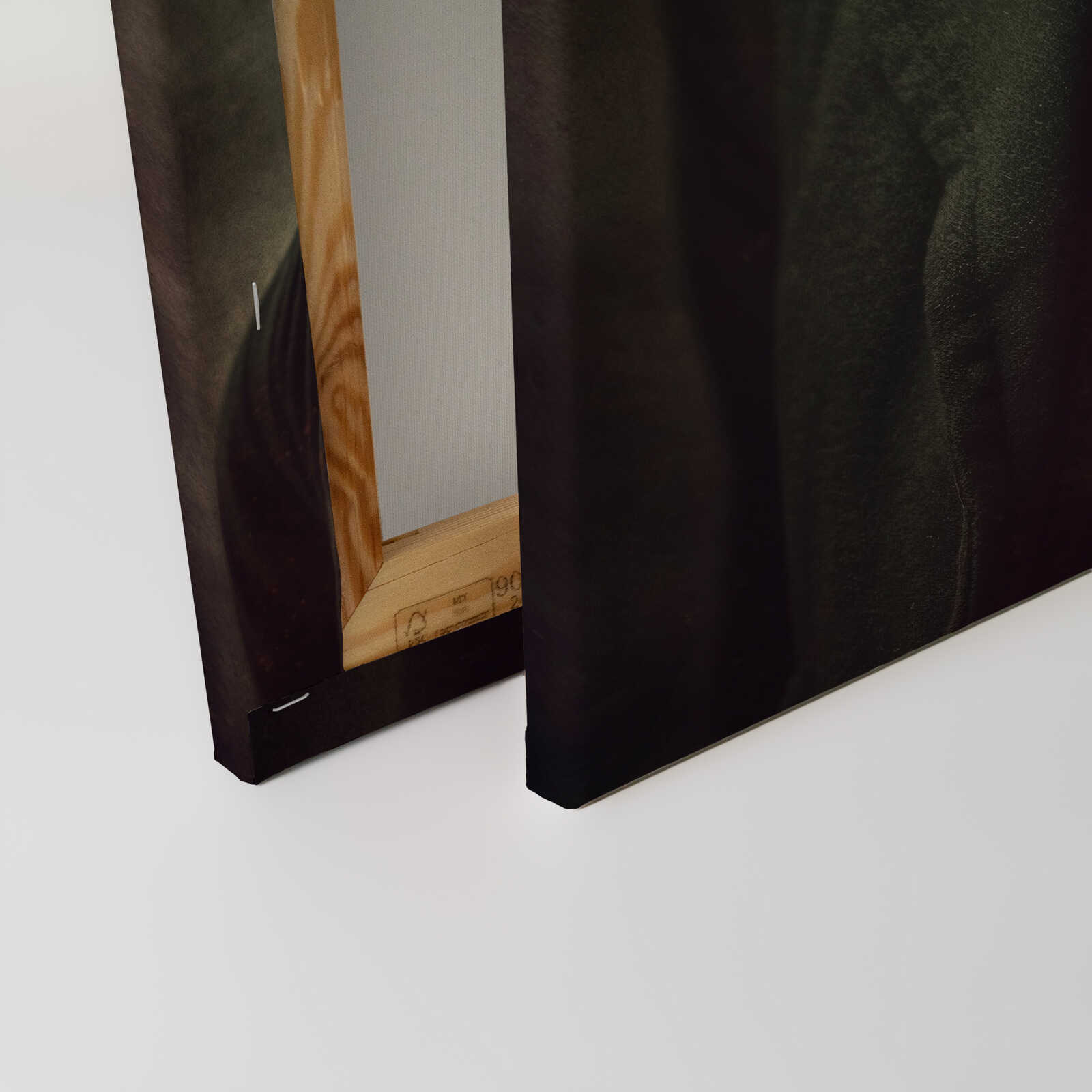             Elegantes Schwein - Stilvolle Leinwand für Tierliebhaber – 40 x 50 cm - Schwarz, Weiss
        