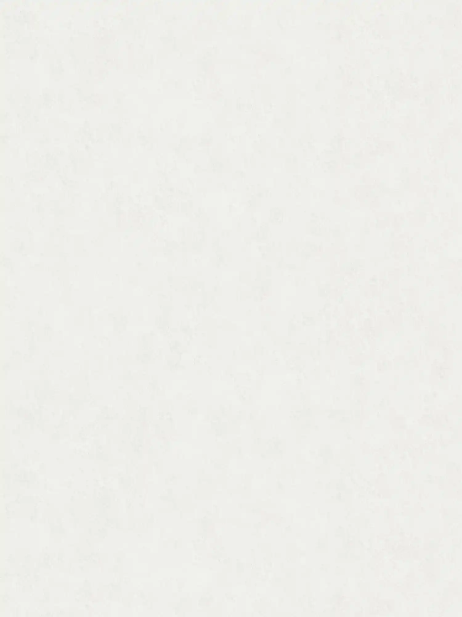         Strukturtapete in einfarbigen Farbtönen – Hellgrau
    