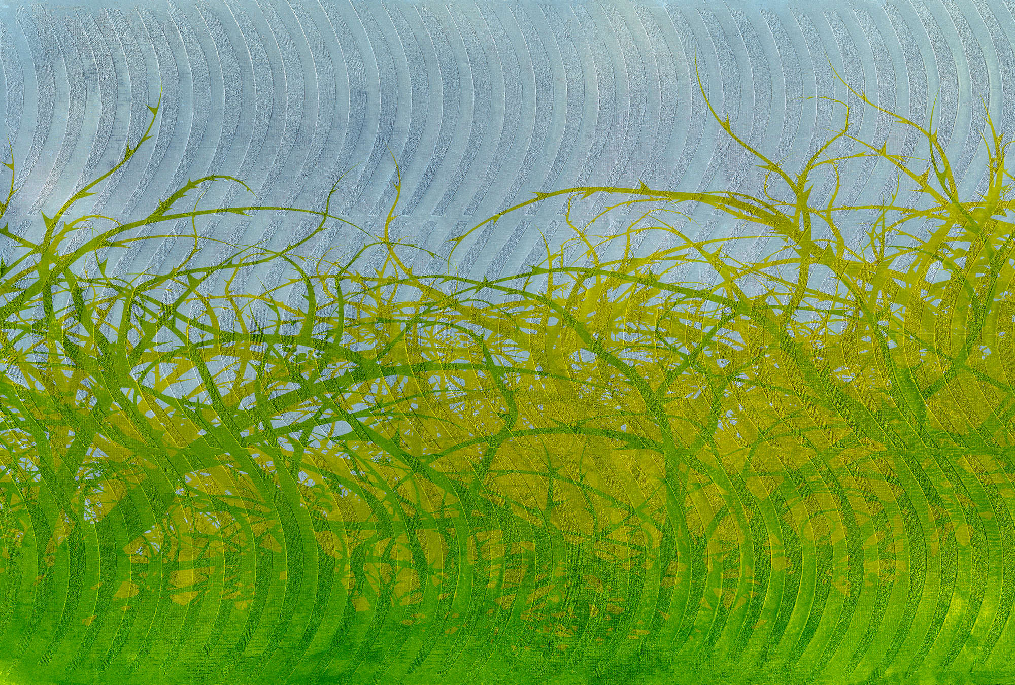 Gras, Pflanze, Aquatisch, Wasser