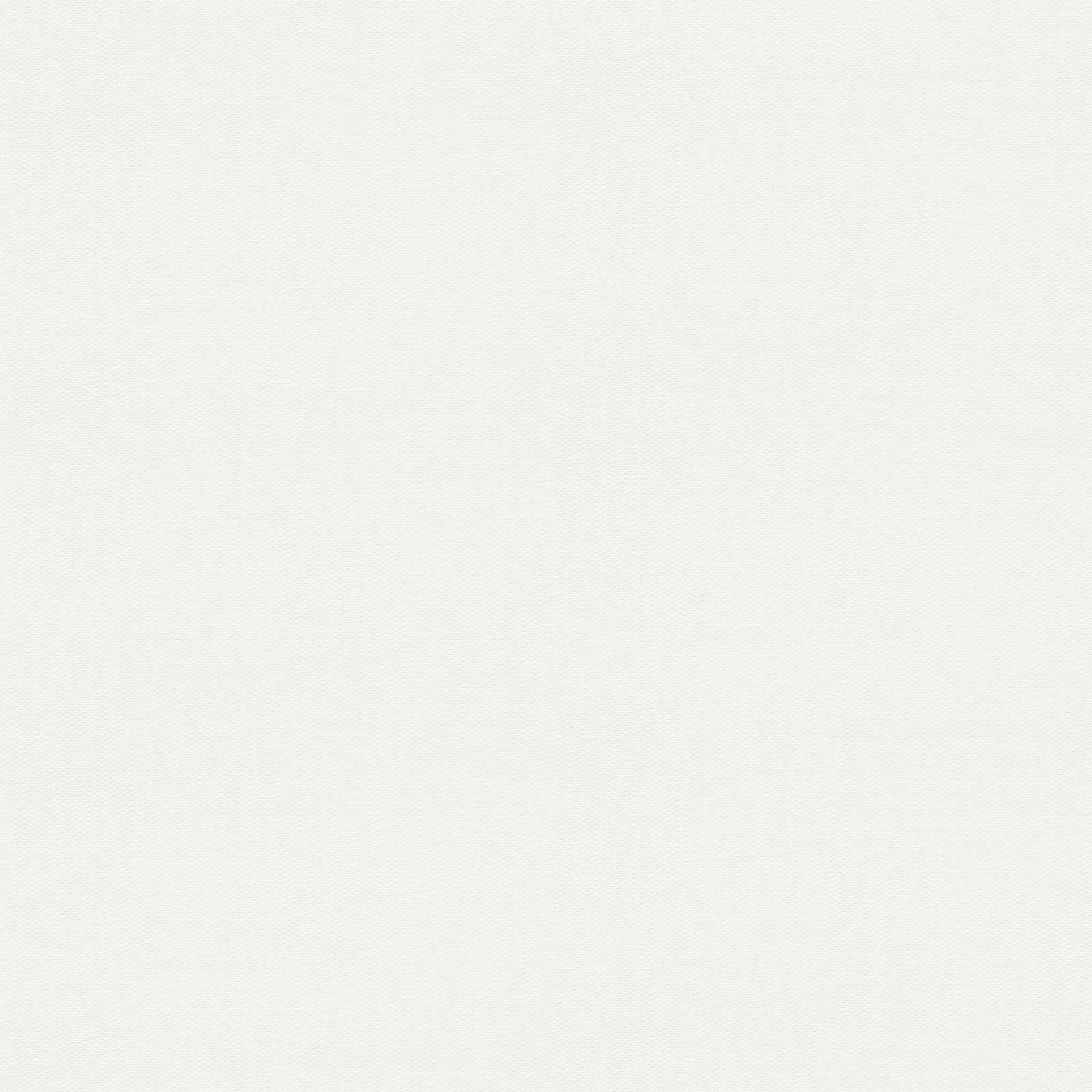         Doppeltbreite Strukturtapete zum überstreichen – Weiß
    
