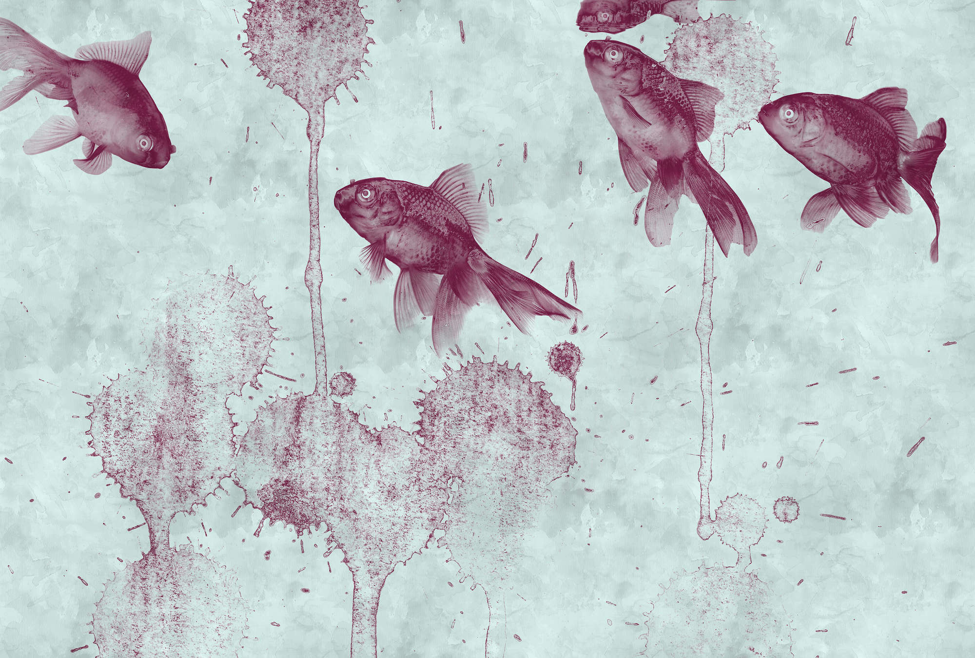 Tier, Fische, Leben im Meer, Aquatisch, Wasser