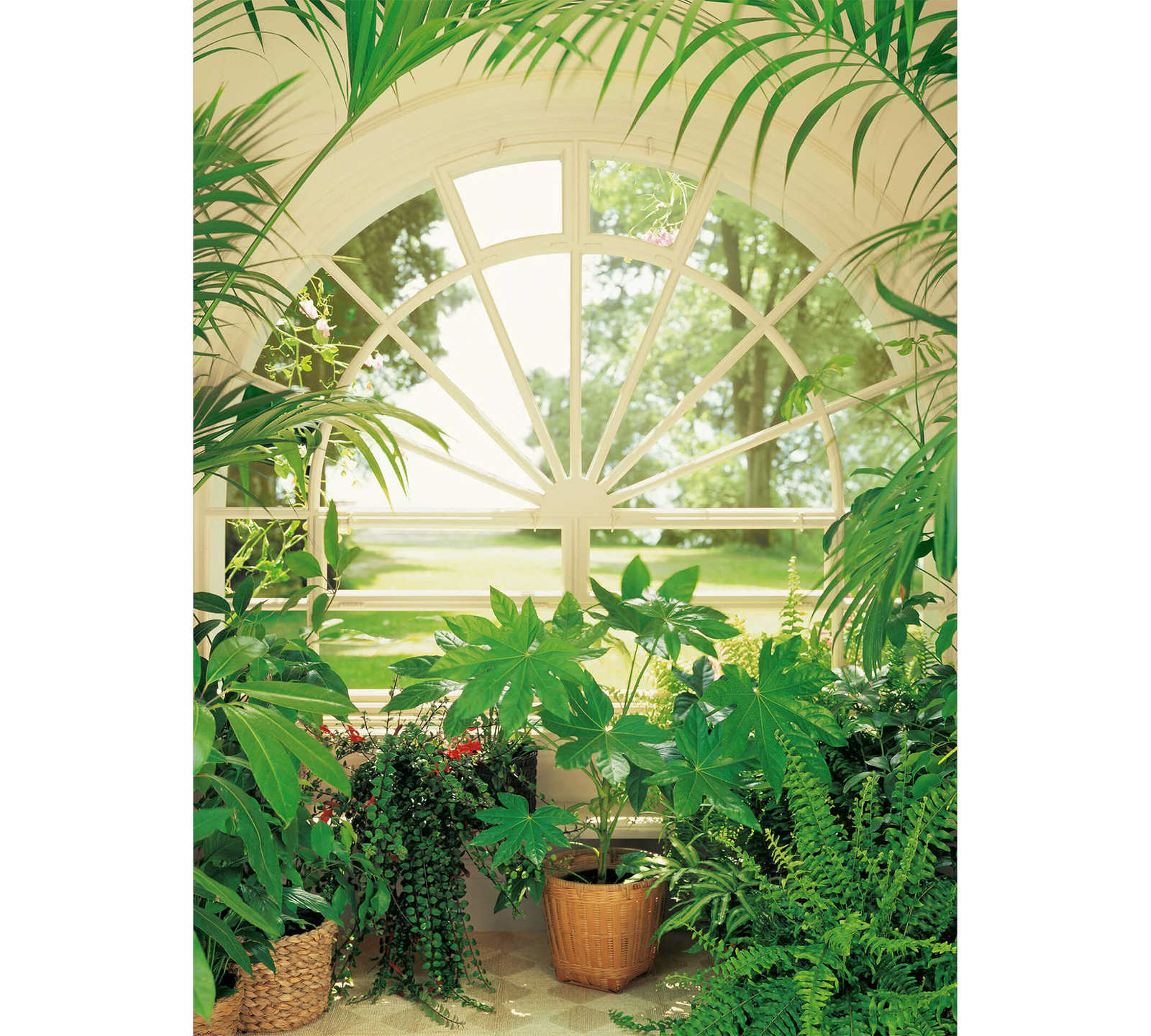         Papier peint Jardin d'hiver plantes tropicales, portrait
    