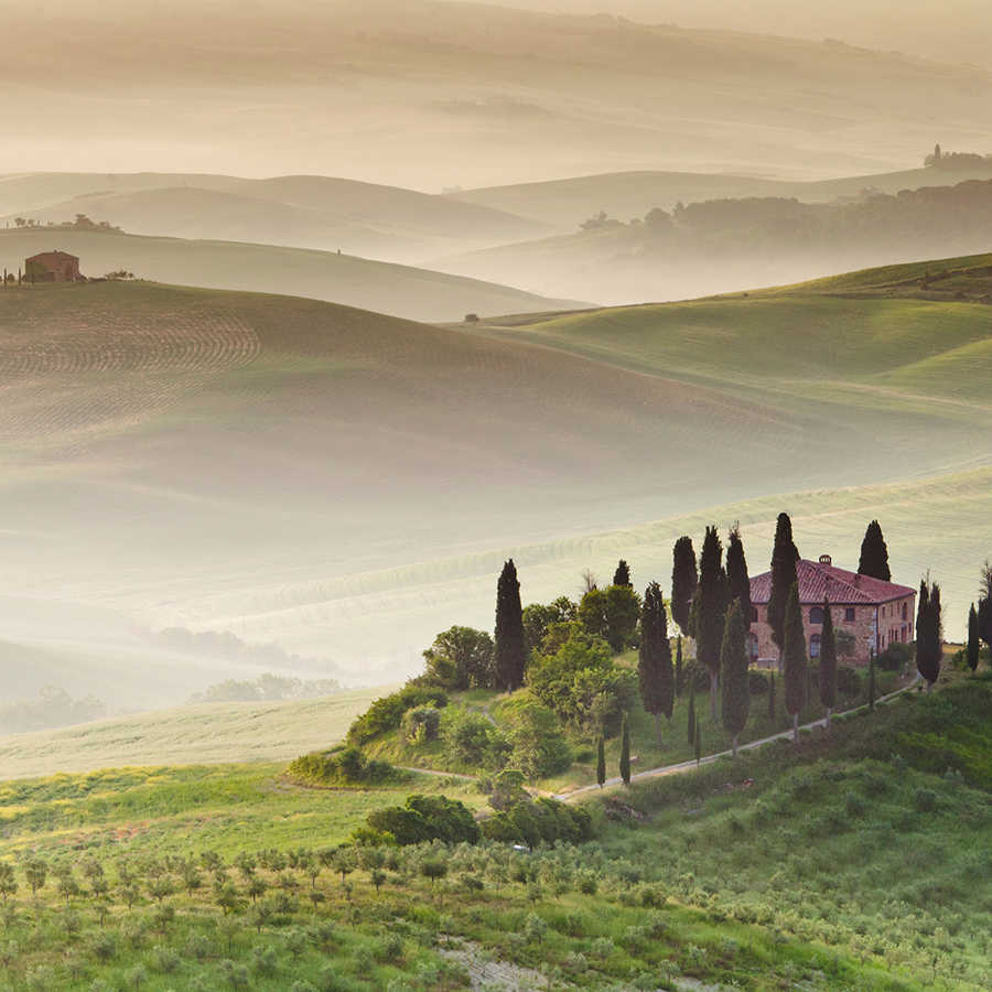         Nature mural foggy fields with manor house on premium smooth nonwoven
    