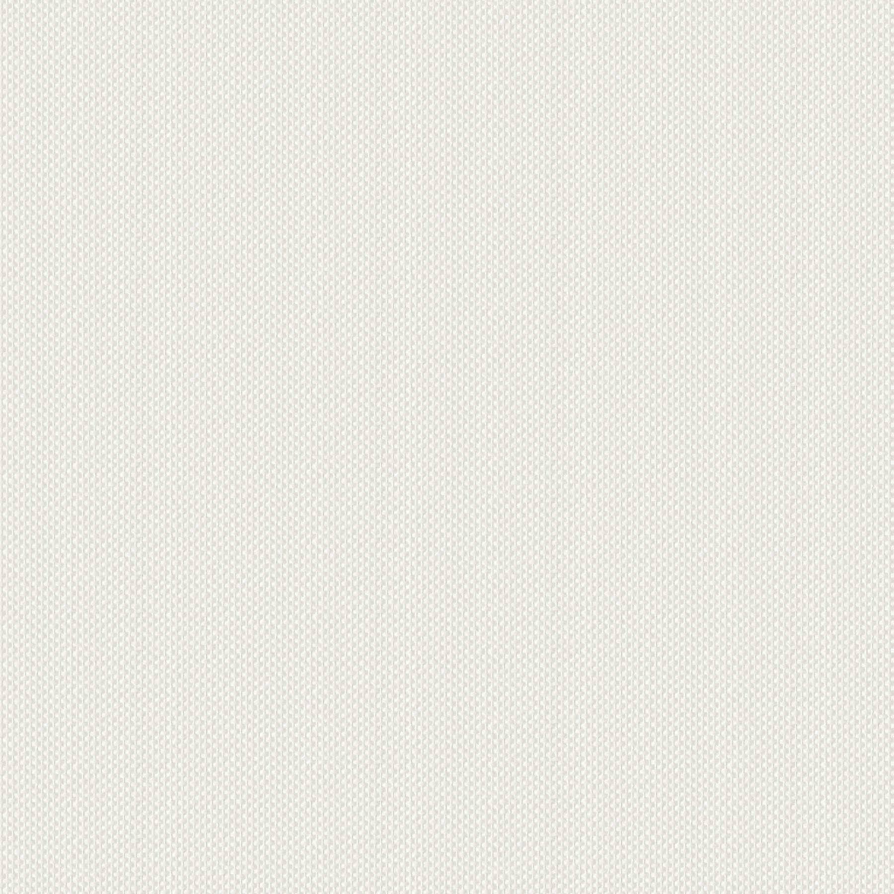         A.S. Création Behang Glasdekogewebe
    