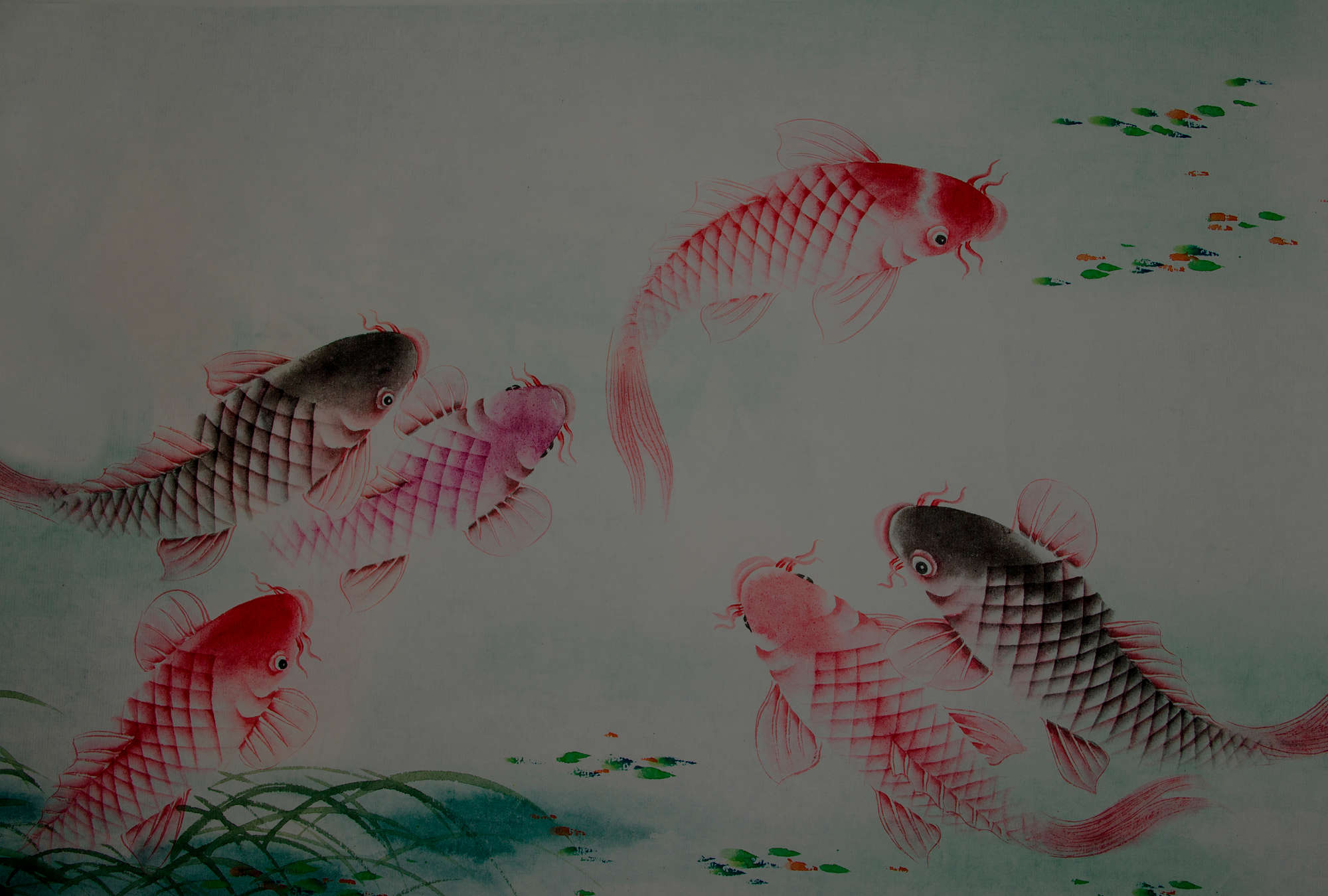 Aquatisch, Wasser, Tier, Fische, Leben im Meer