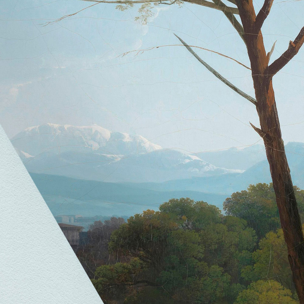 Baum, Bewuchs, Waldland, Hain, Landschaft