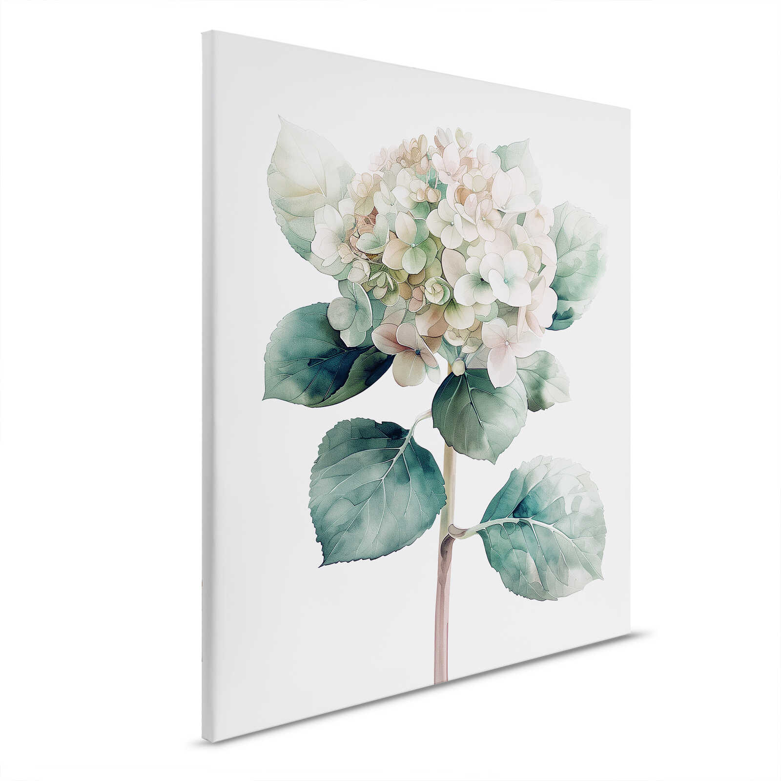         Hortensienpracht - Leinwandbild mit zarten Rosatönen und grünen Blättern – 40 x 50 cm - Grün, Weiss
    