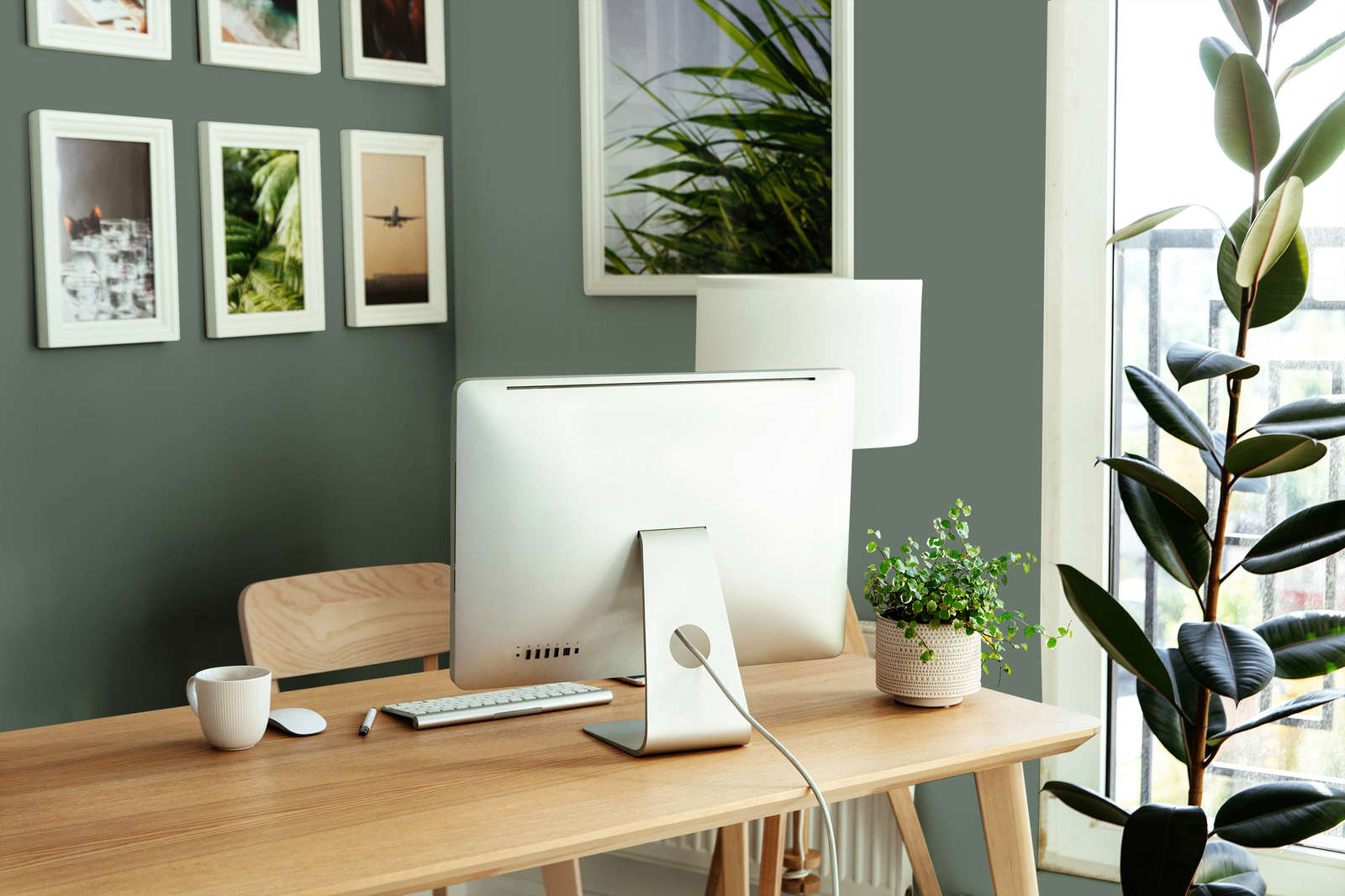 Computer, Schreibtisch, Monitor, Lampe, Pflanze